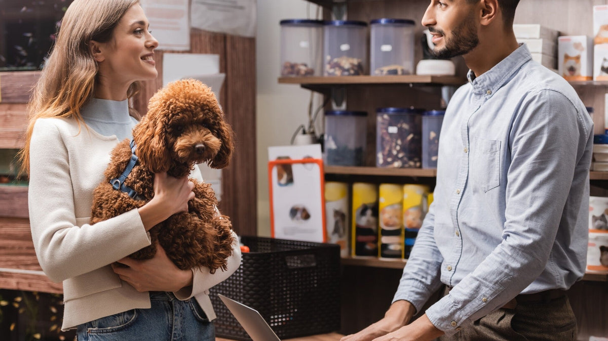 What are the most popular Dog Accessories in 2026?