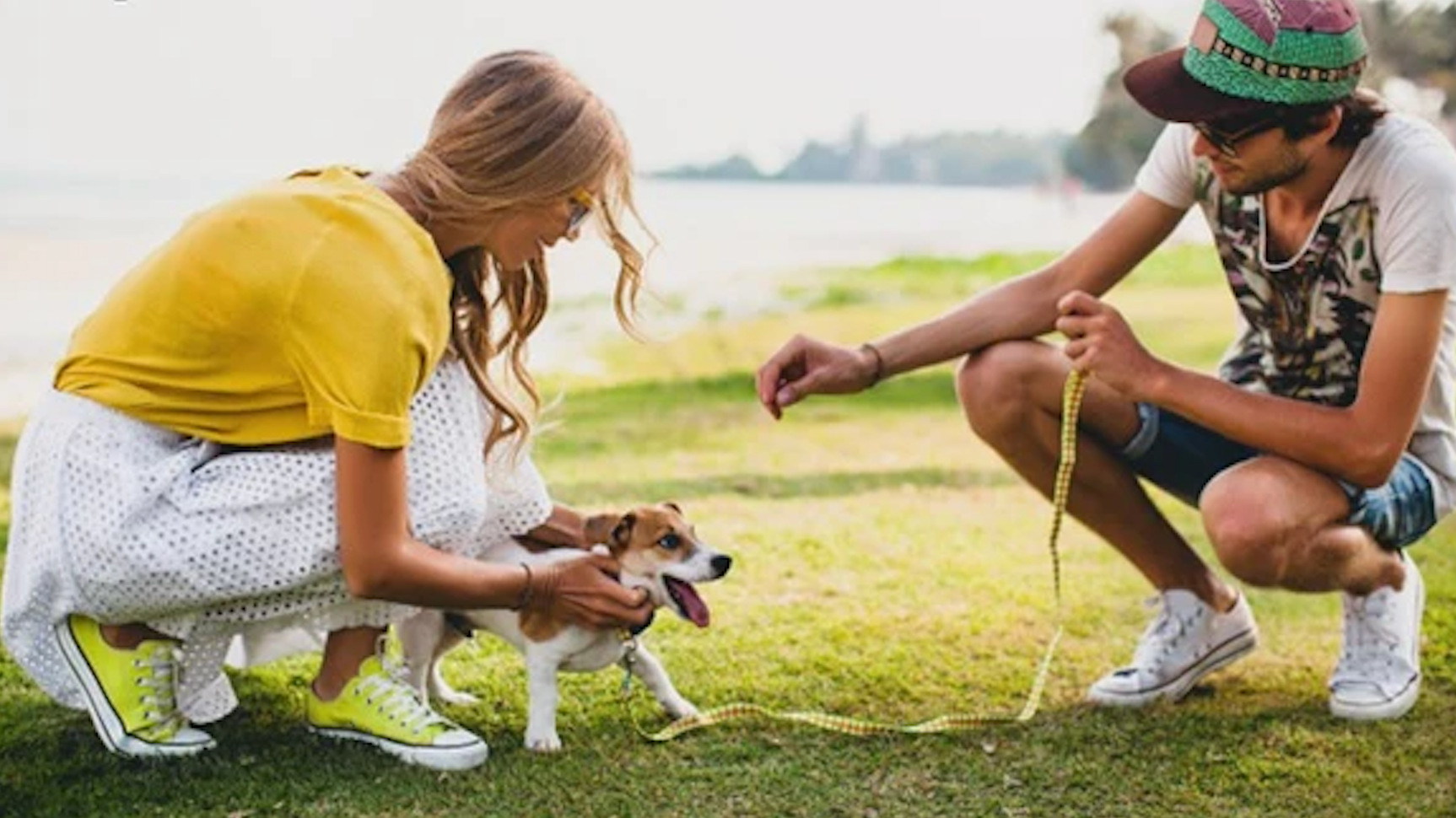 Protecting Your Pup: Essential Tips to Safeguard Your Dog from Summer Hazards