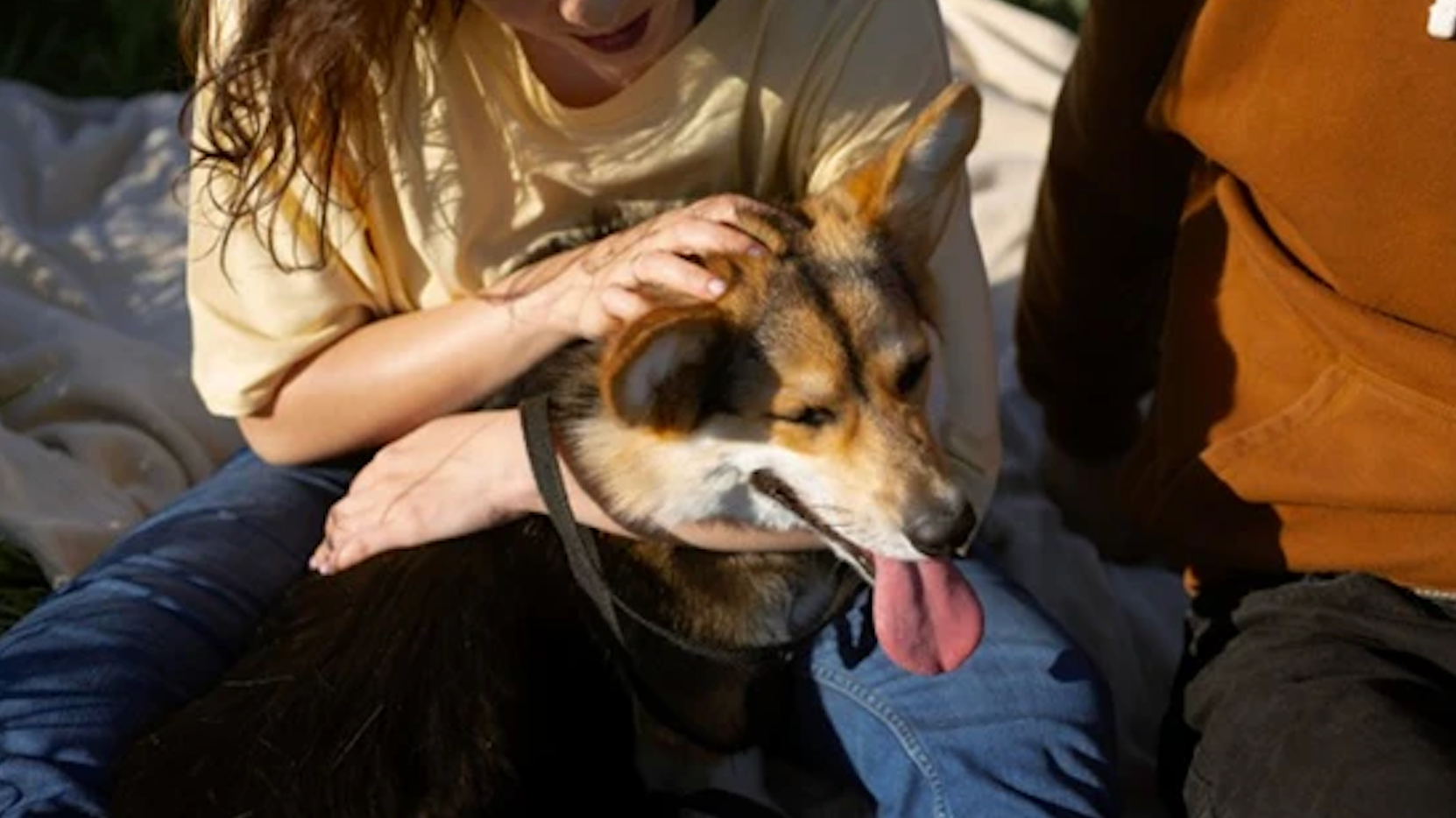 Dogs and Water Activities: How to Keep Your Pup Safe