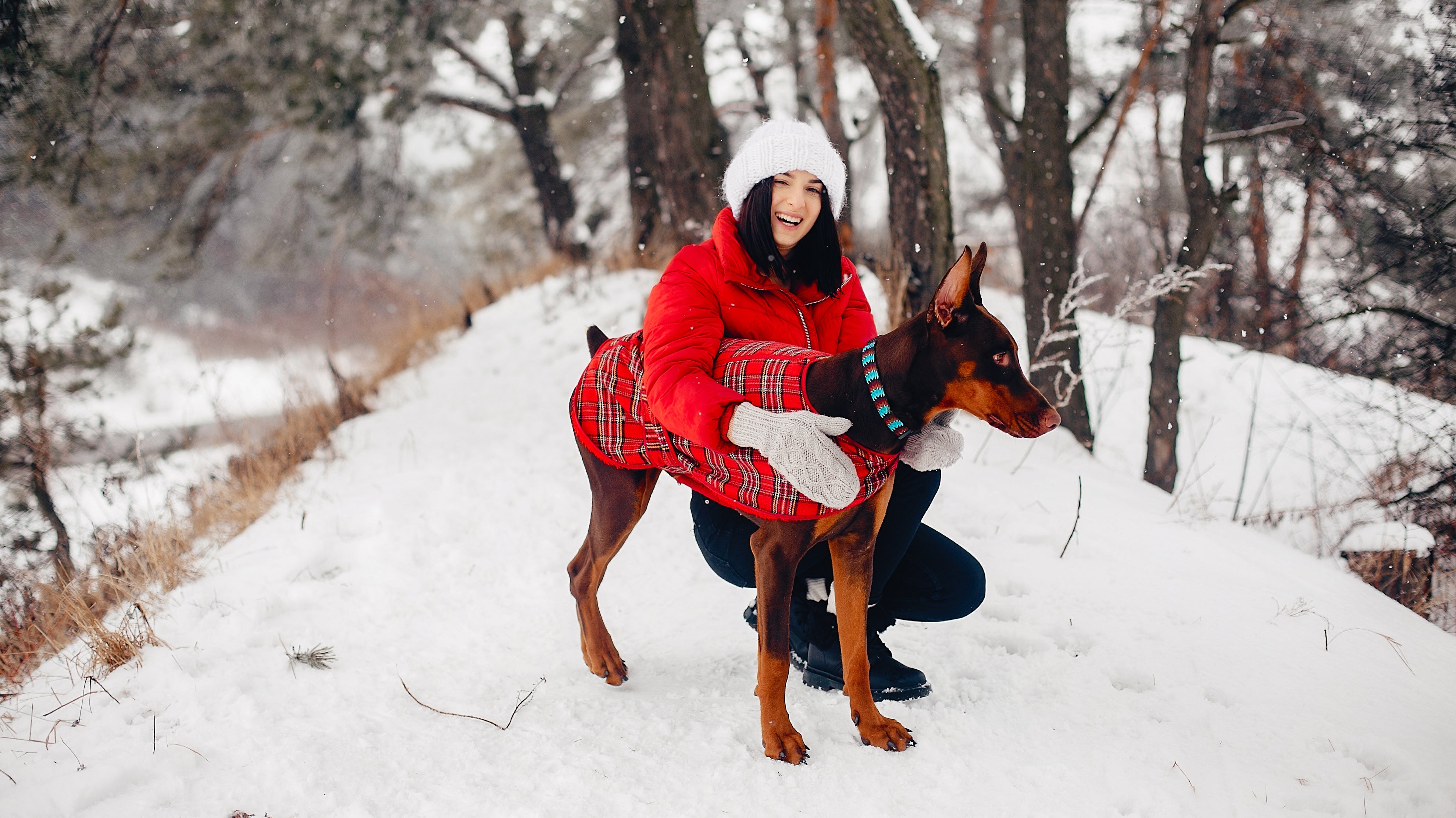 How to Prepare Your Dog for Cold Weather: Keeping Them Warm