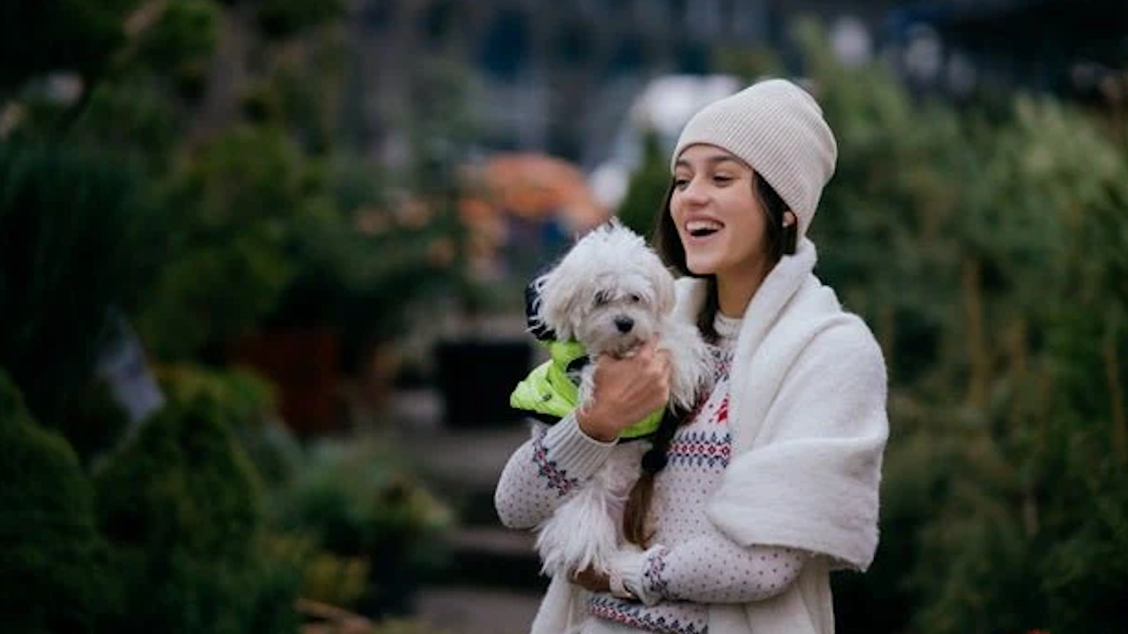 How To Treat Dogs on Raining Days