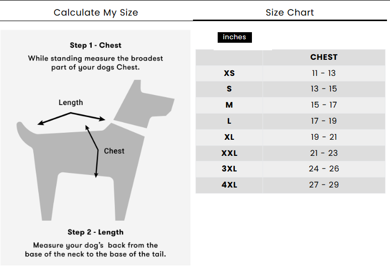 3-in-1 Dog Harness, Leash & Collar Set – Adjustable, Comfortable, and Durable