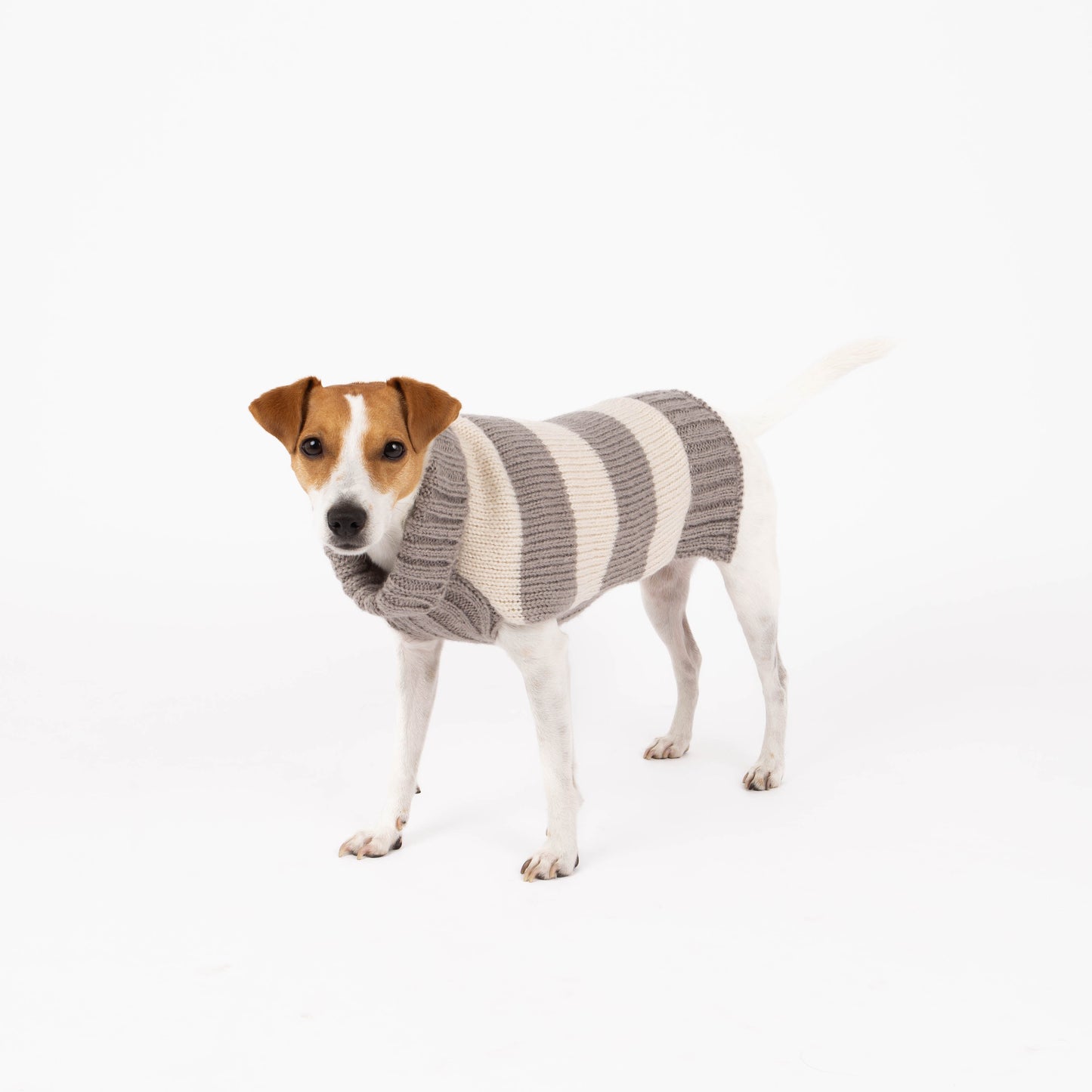 Fashion Stripes Dog Sweater, Grey and Beige Stripes