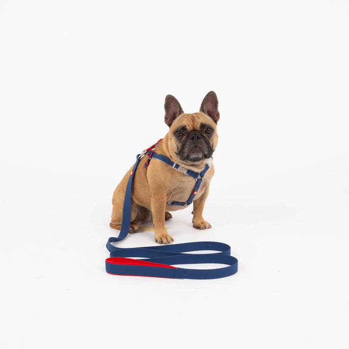 Maximus Silicon Navy Dog Leash