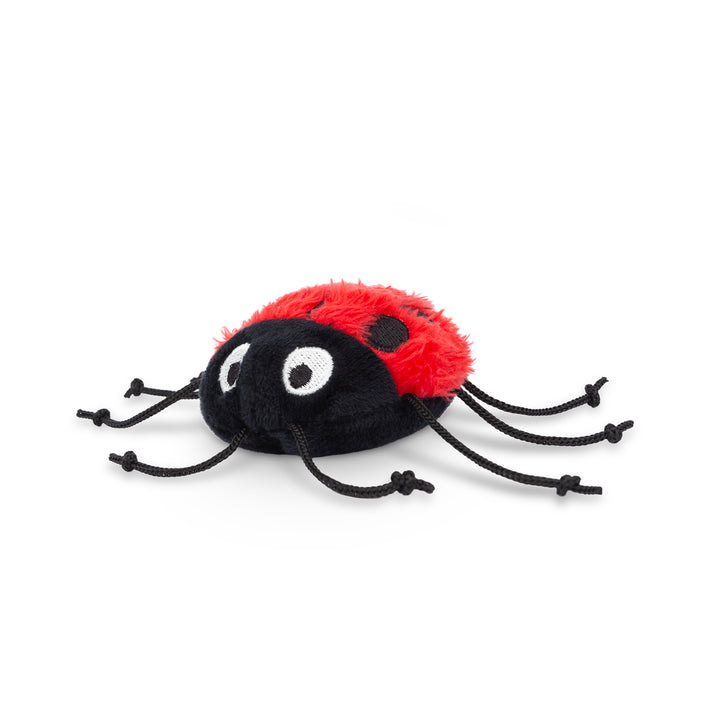 Lady Bug Cat Toy