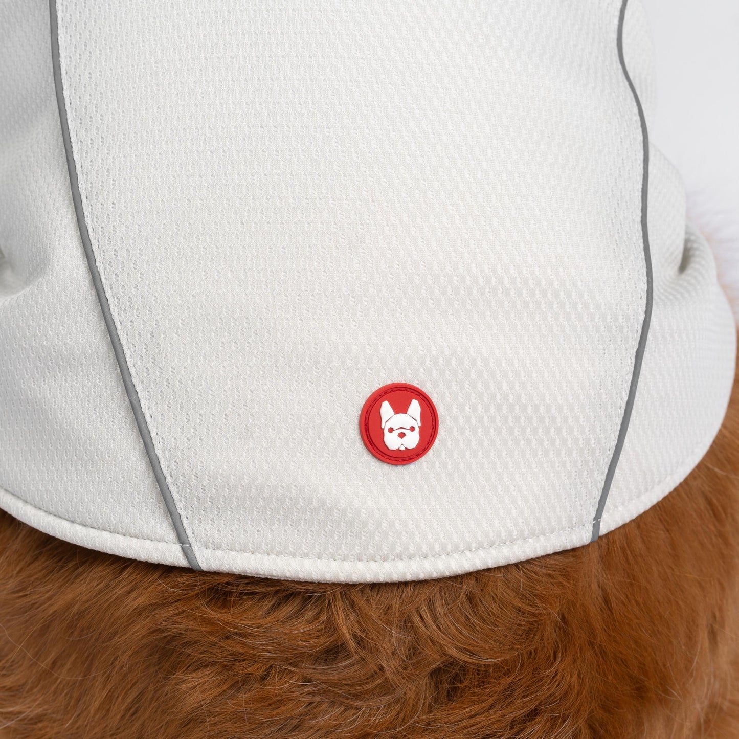 Cooper Dog UV Protector and Cooling Top – Breathable, UV Protection, Reflective, Comfortable | Outdoor Gear for Pets