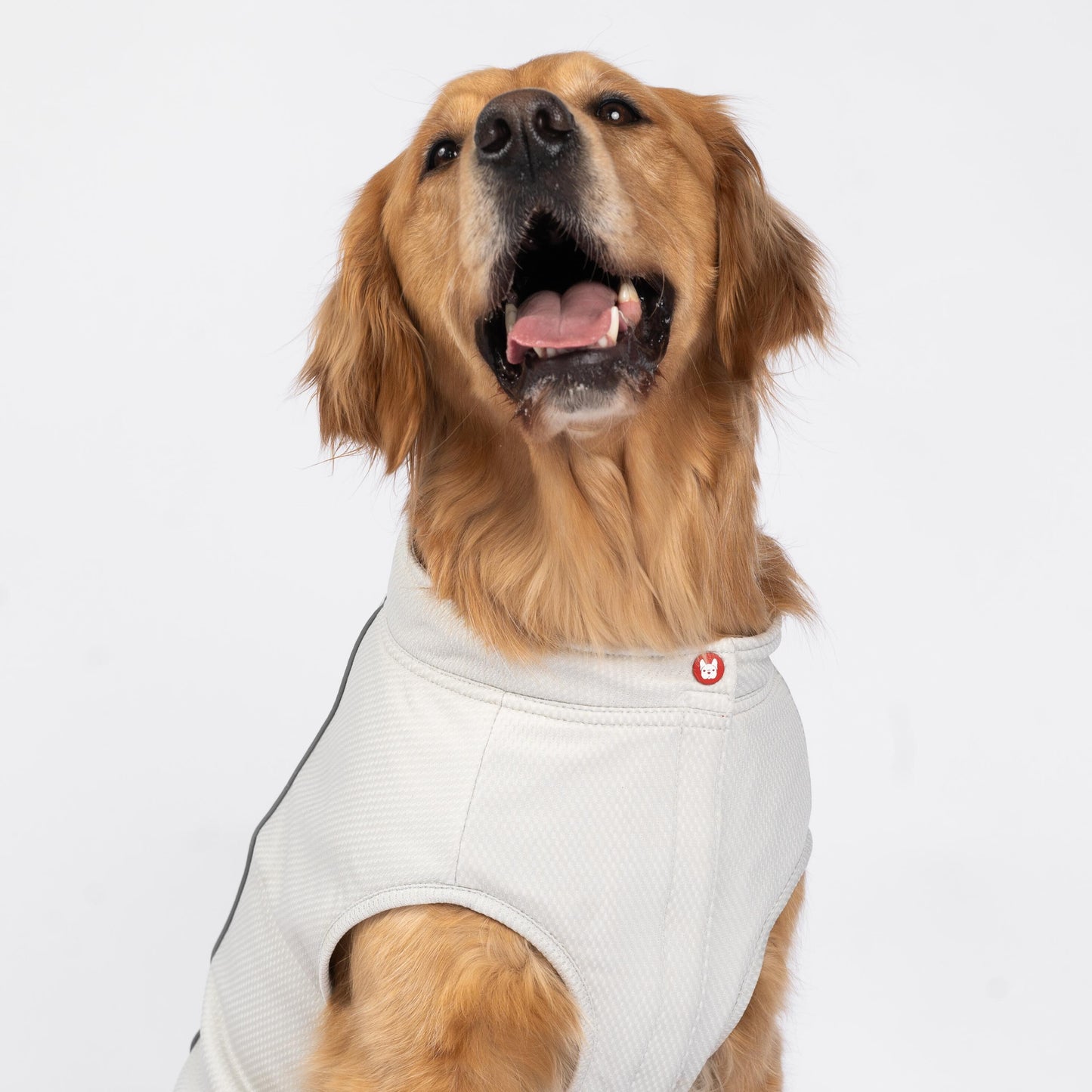 Cooper Dog UV Protector and Cooling Top – Breathable, UV Protection, Reflective, Comfortable | Outdoor Gear for Pets