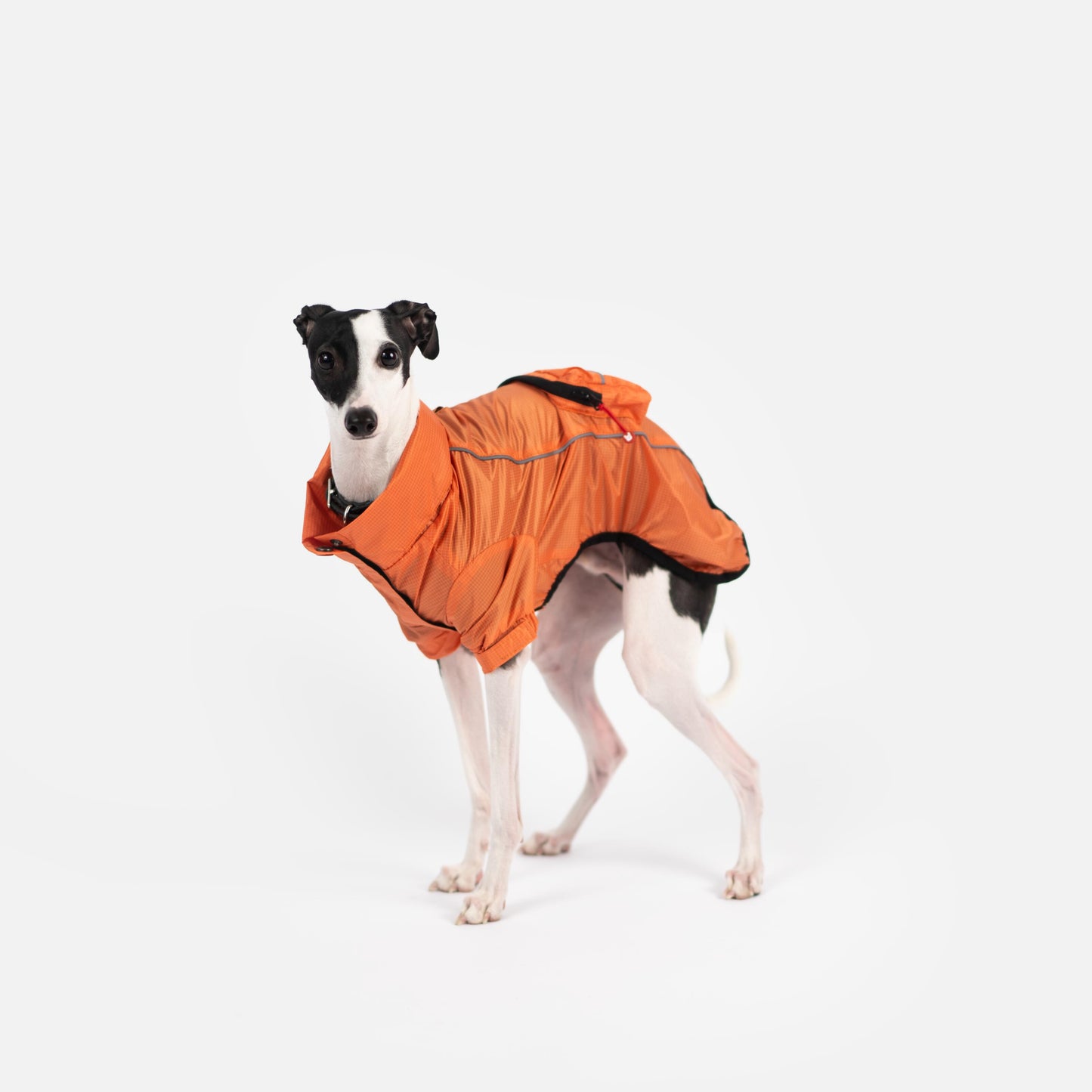 EVA Packable Raincoat – Eco-Friendly, Waterproof, Adjustable Fit | Stylish Dog Rain Jacket with Reflective Piping