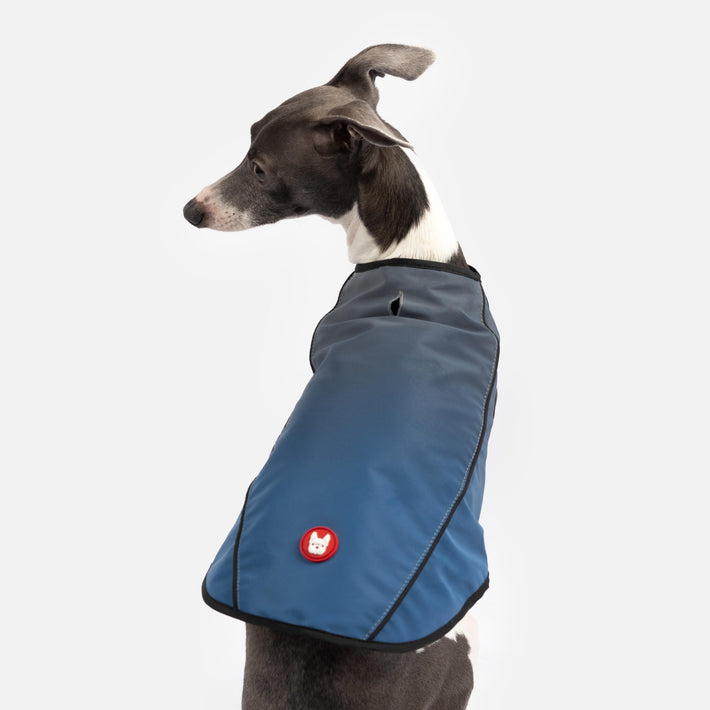 ARLO High-Visibility Dog Vest Water Repellent