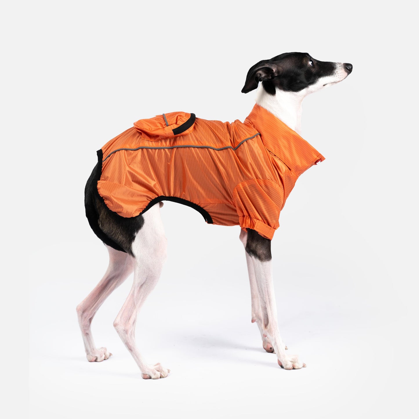 EVA Packable Raincoat – Eco-Friendly, Waterproof, Adjustable Fit | Stylish Dog Rain Jacket with Reflective Piping