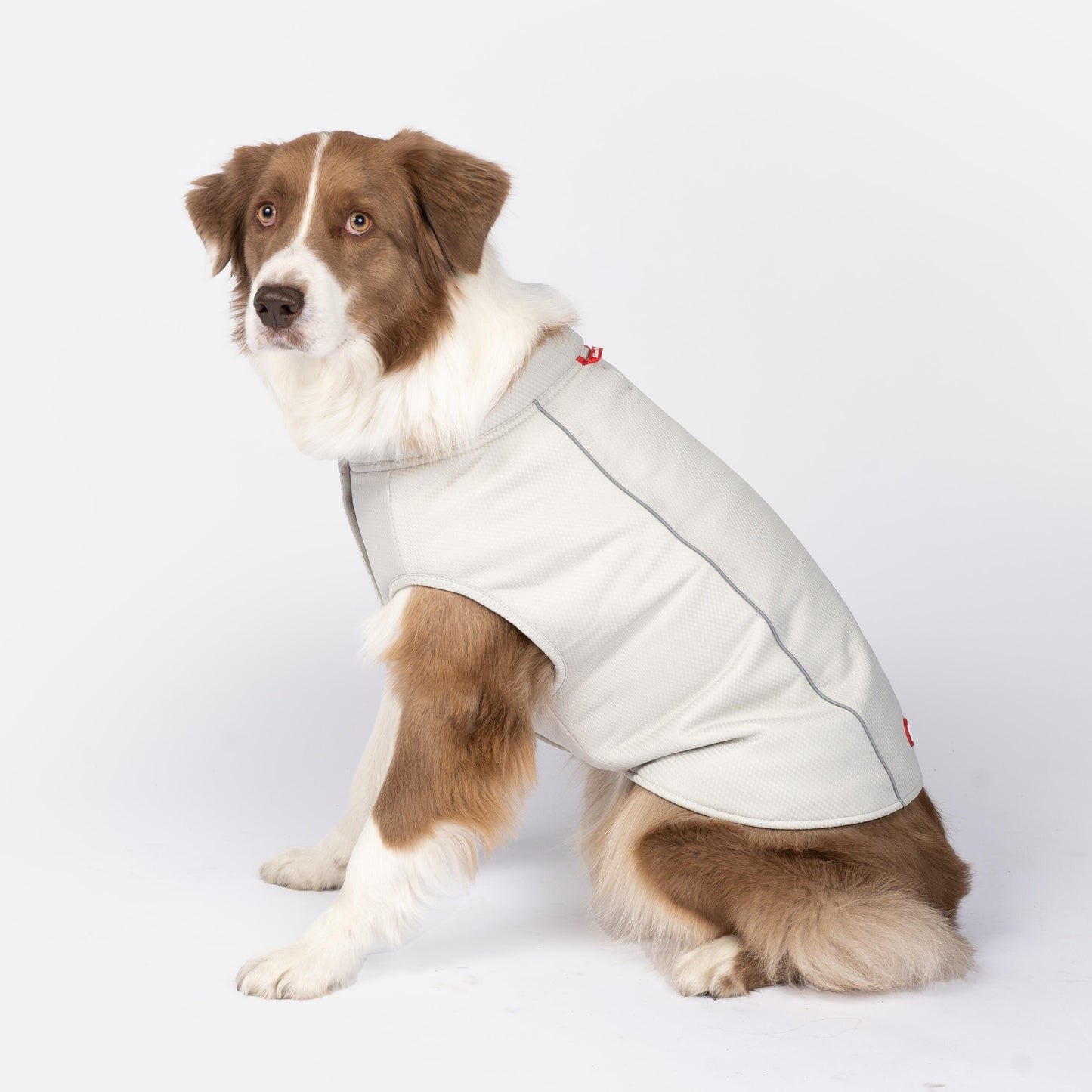 Cooper Dog UV Protector and Cooling Top – Breathable, UV Protection, Reflective, Comfortable | Outdoor Gear for Pets