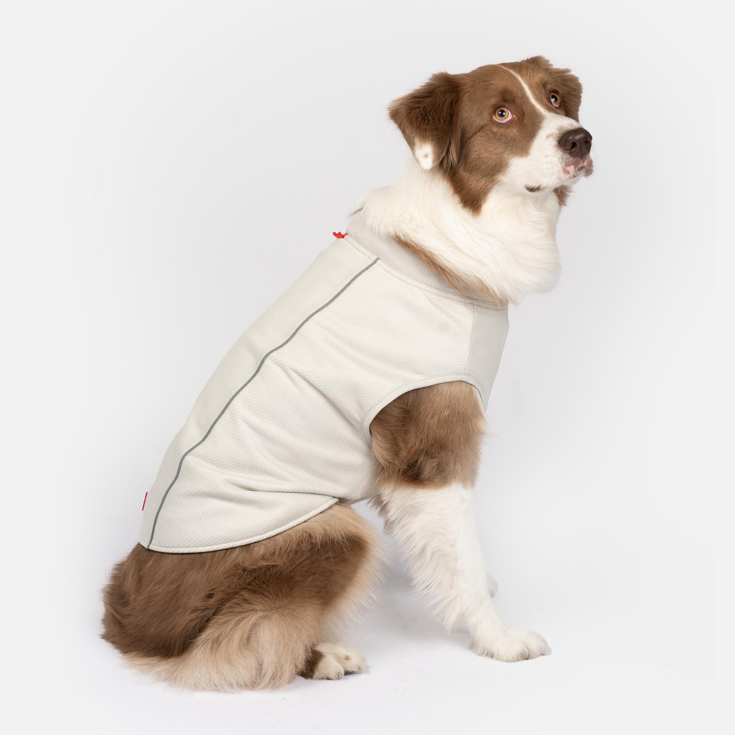 Cooper Dog UV Protector and Cooling Top – Breathable, UV Protection, Reflective, Comfortable | Outdoor Gear for Pets