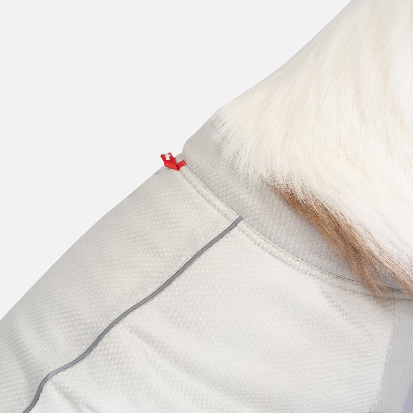 Cooper Dog UV Protector and Cooling Top – Breathable, UV Protection, Reflective, Comfortable | Outdoor Gear for Pets