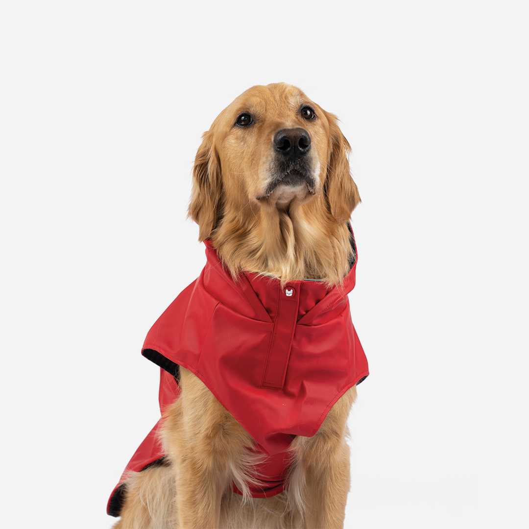 Aden 2.0 Dog Raincoat Red – Waterproof, Adjustable Fit, Reflective Piping & UV Protection