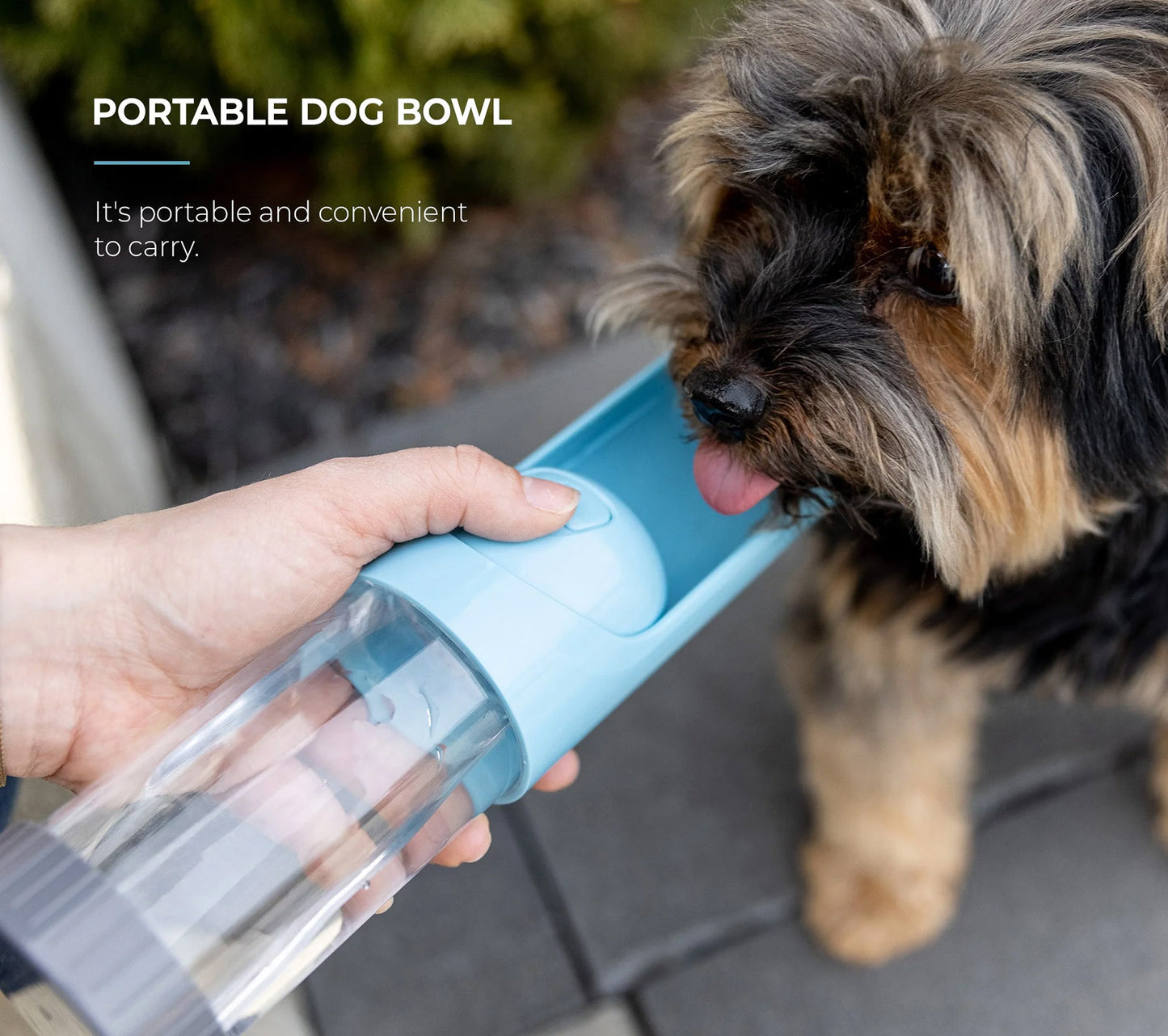 💧 Portable Dog Water Bottle – Leak-Proof, Foldable & Charcoal Filter for Clean Water