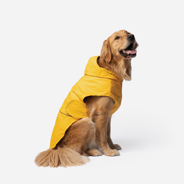 Aden 2.0 Dog Raincoat Yellow