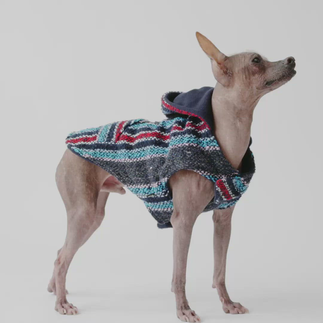 Baja Dog Poncho - Navy – Silver Paw