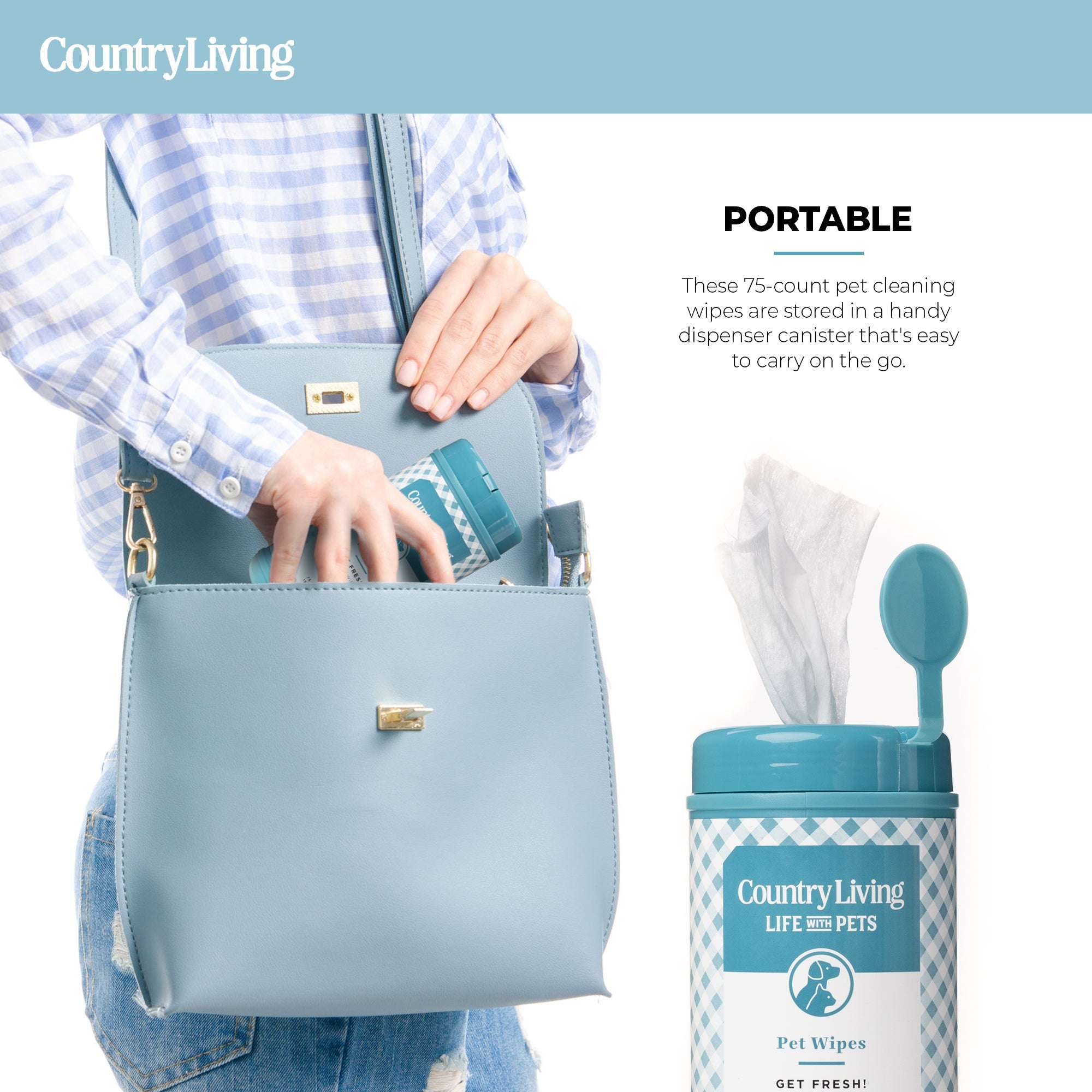 75 Fragrance Free Dog Wipes - Silver Paw