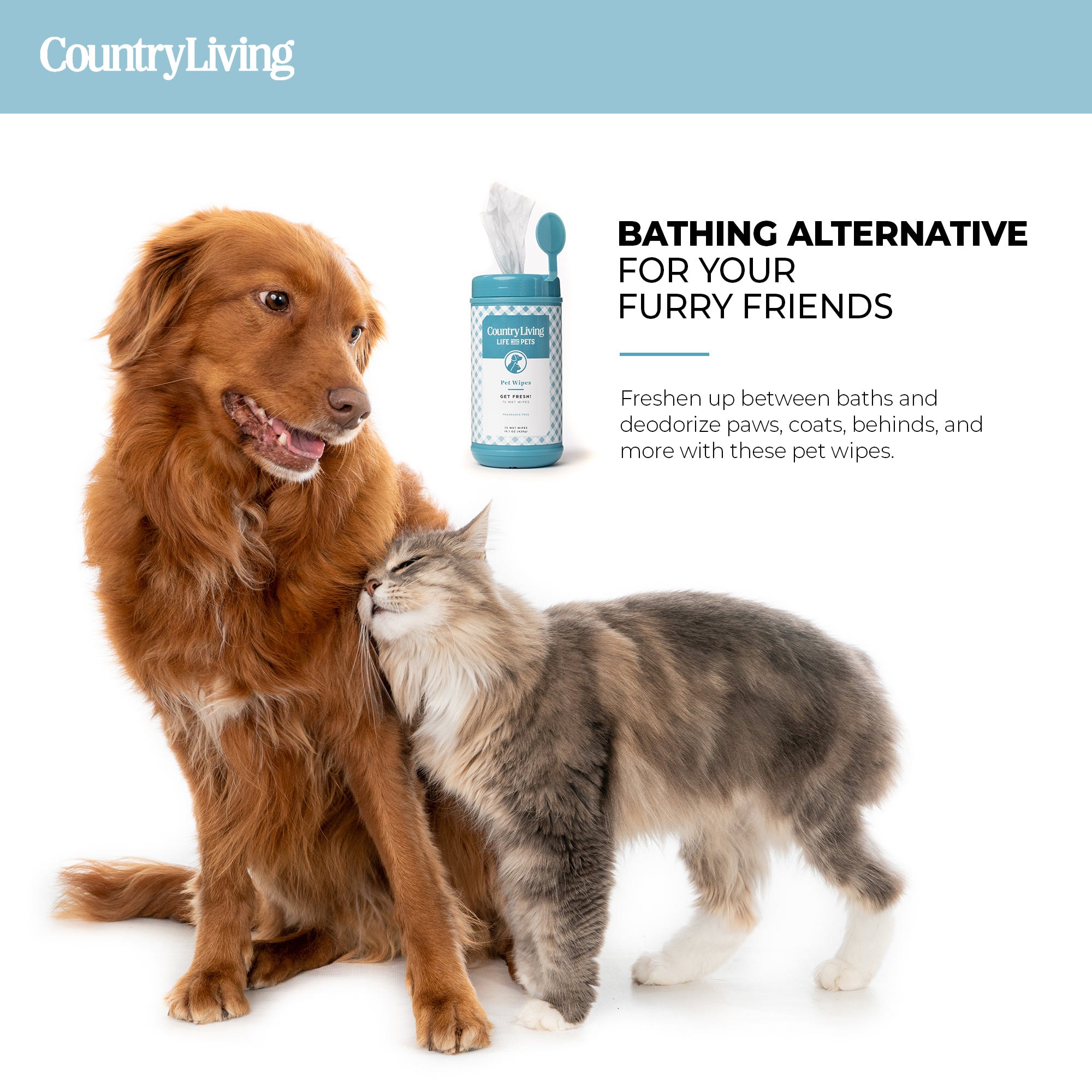 75 Fragrance Free Dog Wipes - Silver Paw