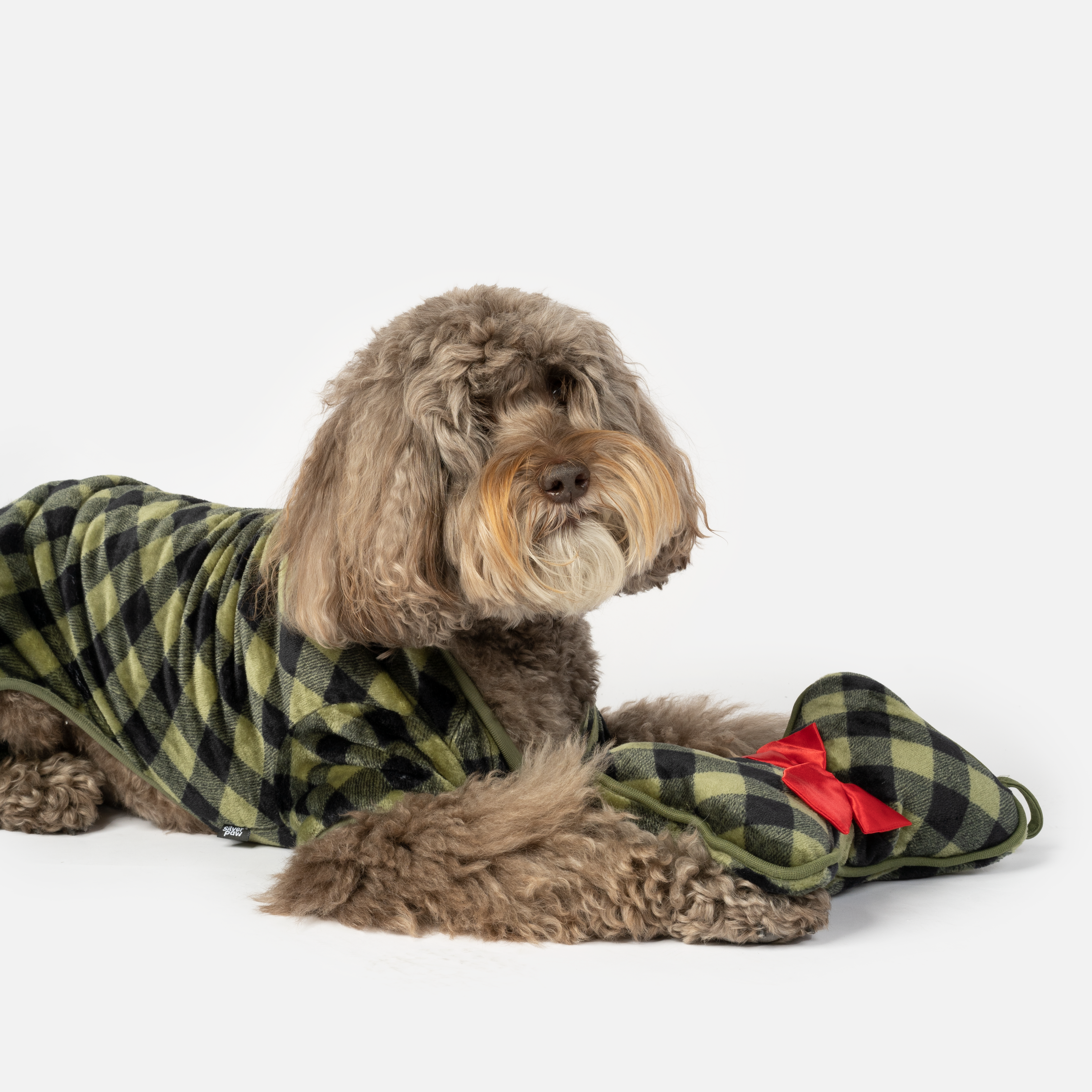 Plaid Dog Pajama - Green – Silver Paw