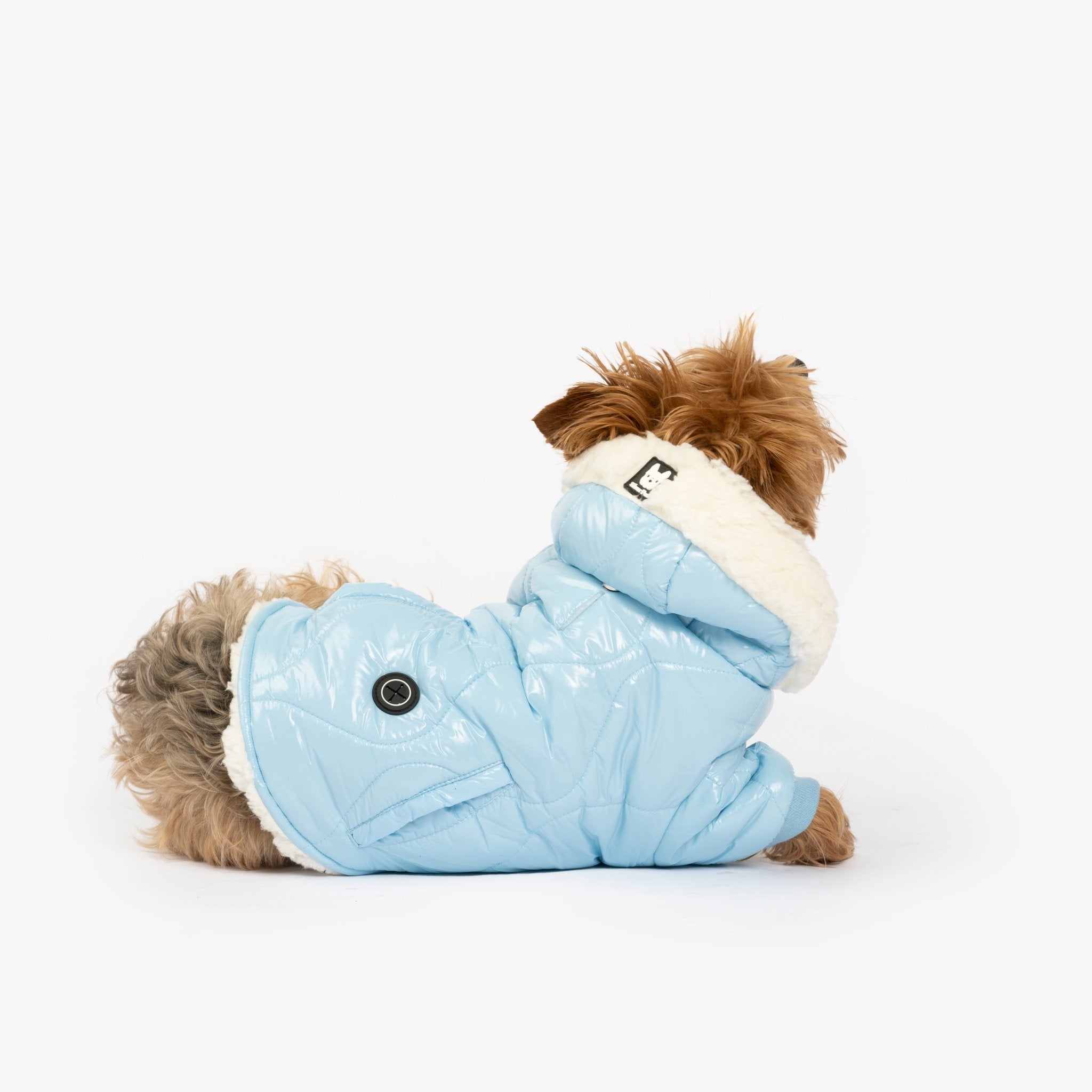 Aspen Dog Jacket - Silver Paw