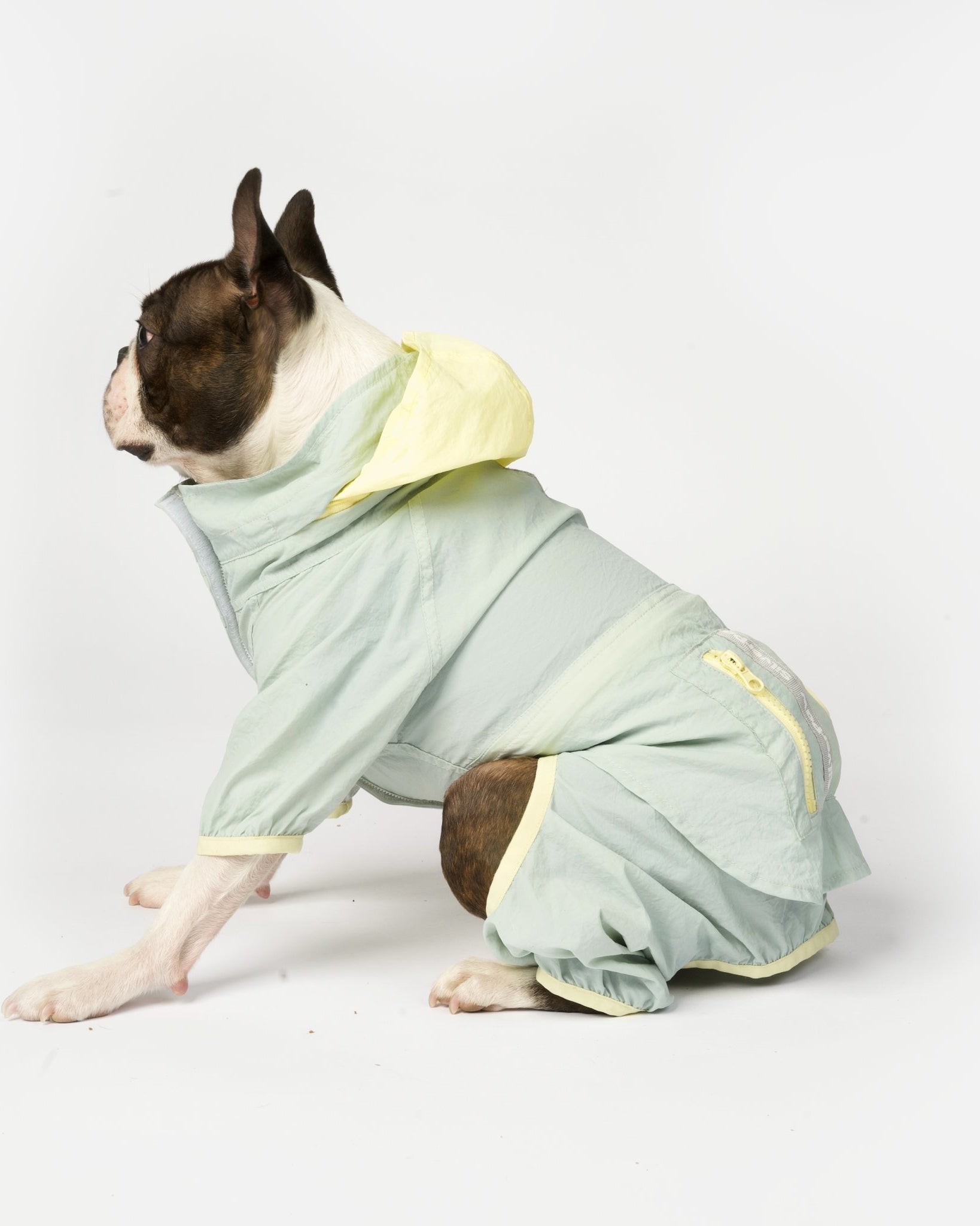 Bobbi - 2 Piece Splash Suit - Silver Paw