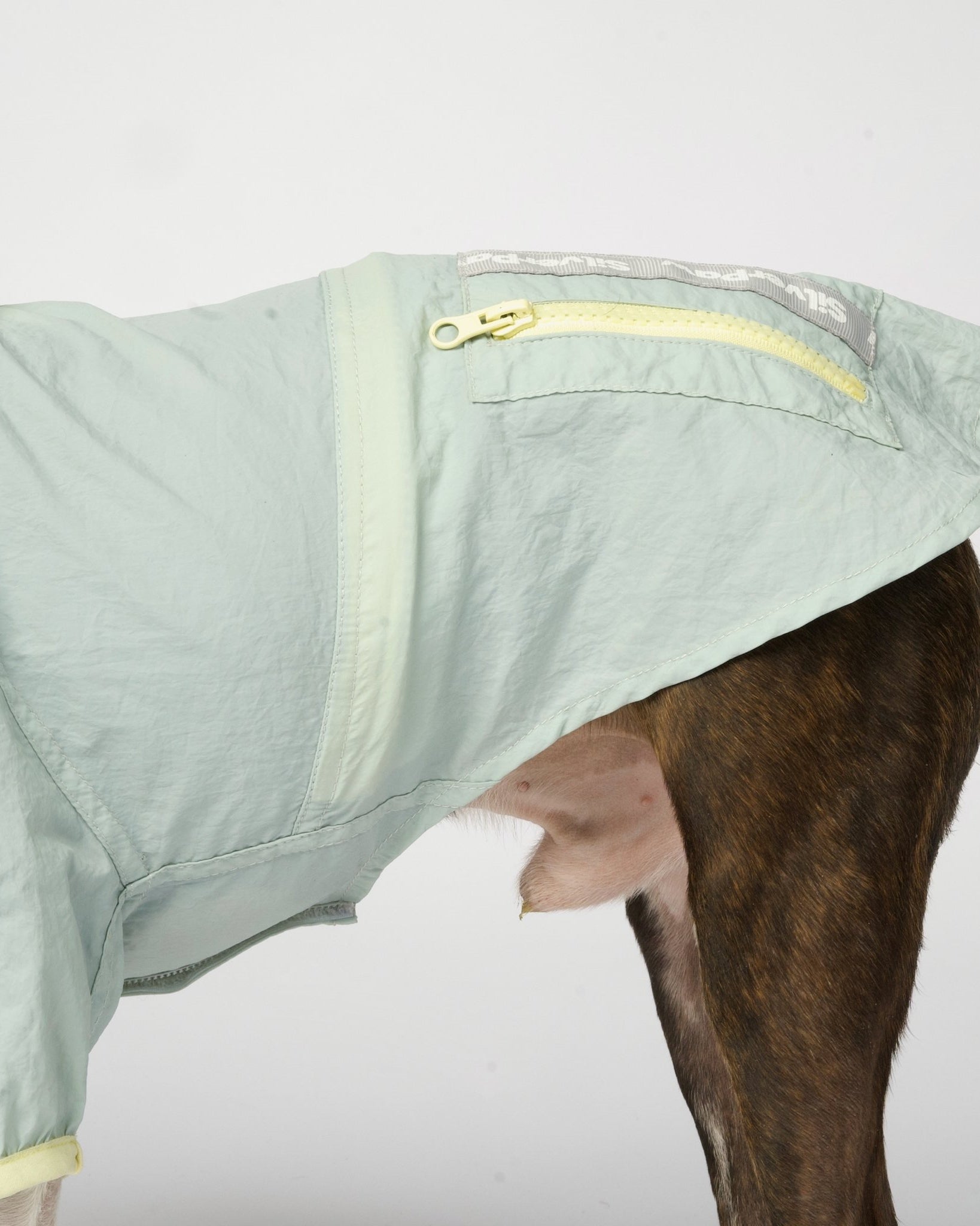 Bobbi - 2 Piece Splash Suit - Silver Paw