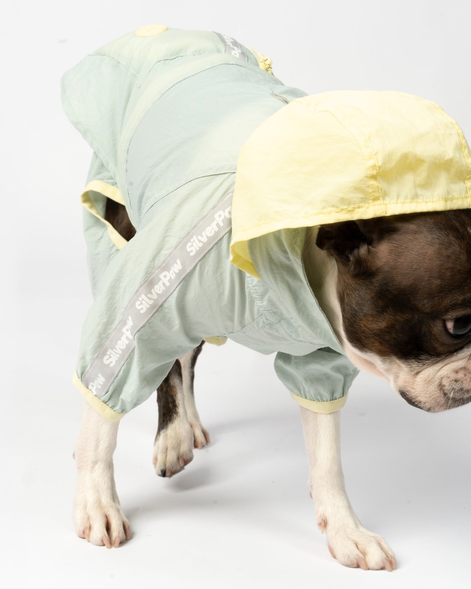 Bobbi - 2 Piece Splash Suit - Silver Paw