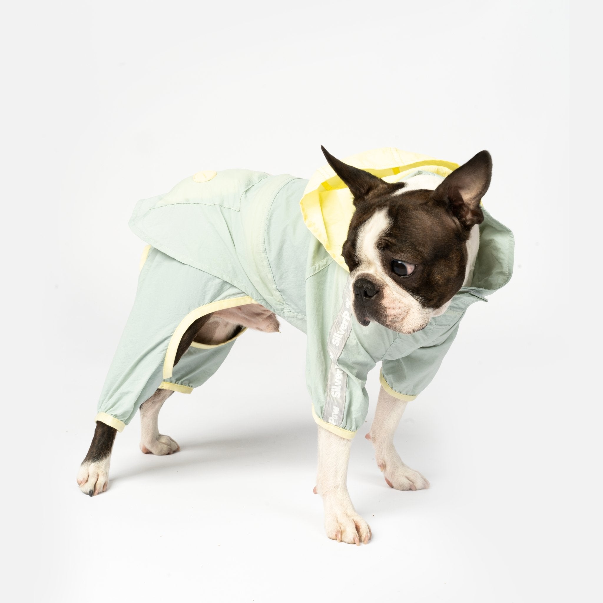 Boston terrier raincoat sale