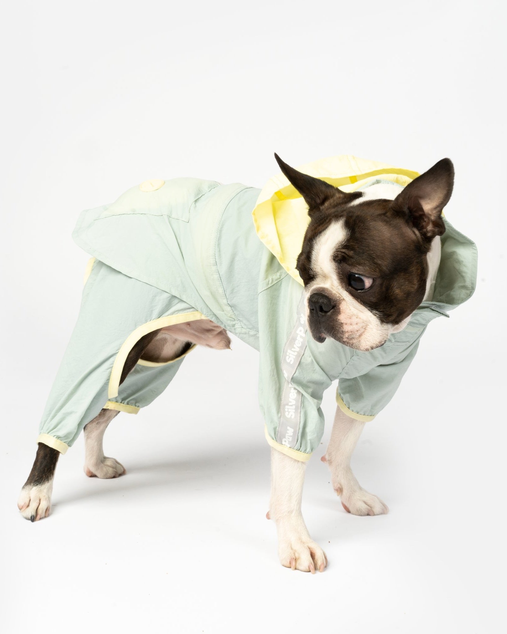 Bobbi - 2 Piece Splash Suit - Silver Paw