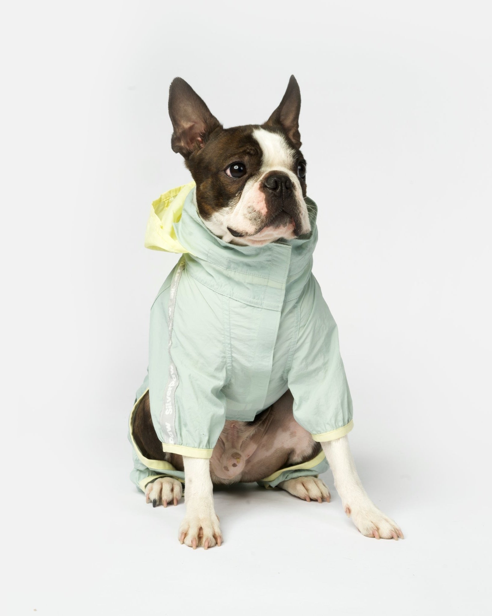 Bobbi - 2 Piece Splash Suit - Silver Paw