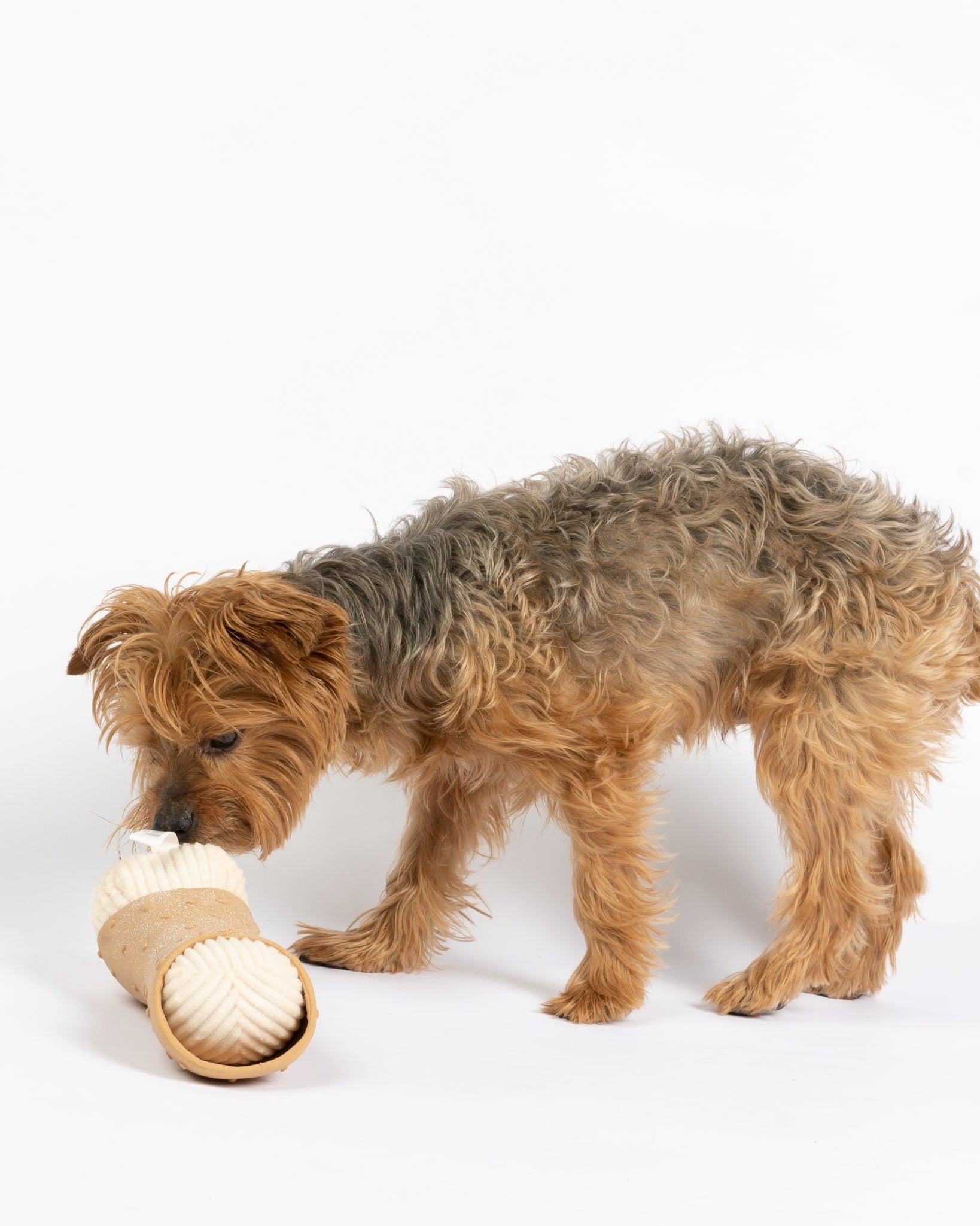 Cannoli Dog Toy - Silver Paw