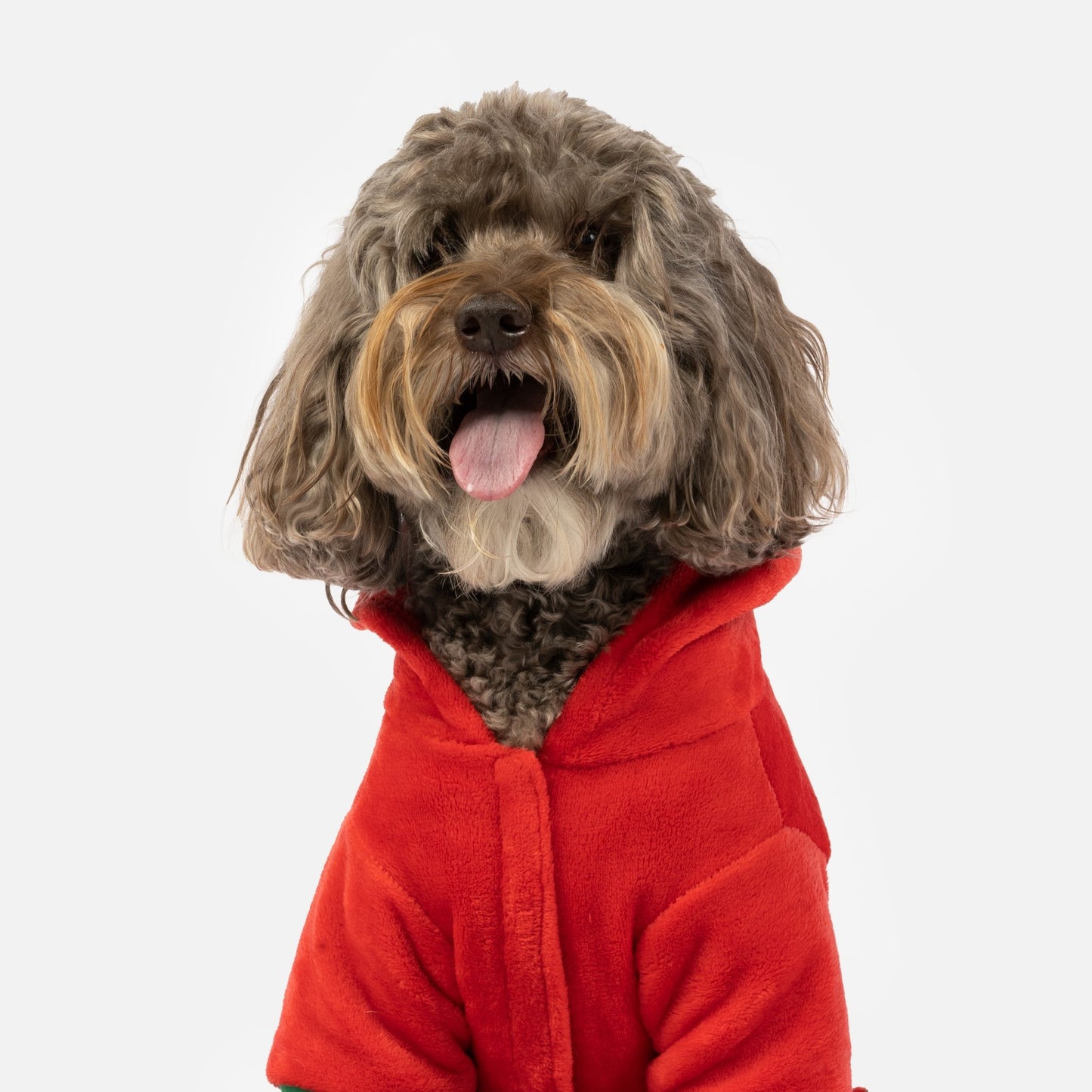 Christmas Tree Dog Pjs - Silver Paw