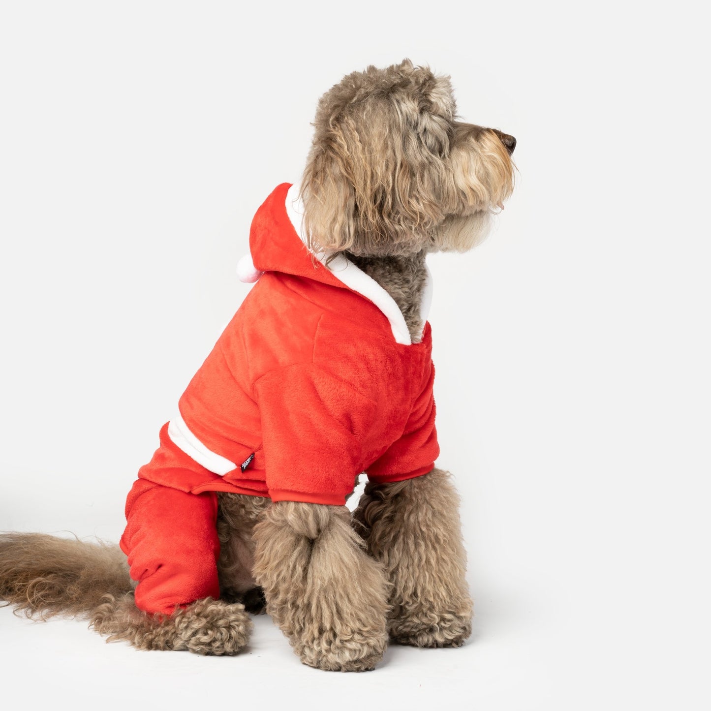 Claus Dog Pjs - Silver Paw