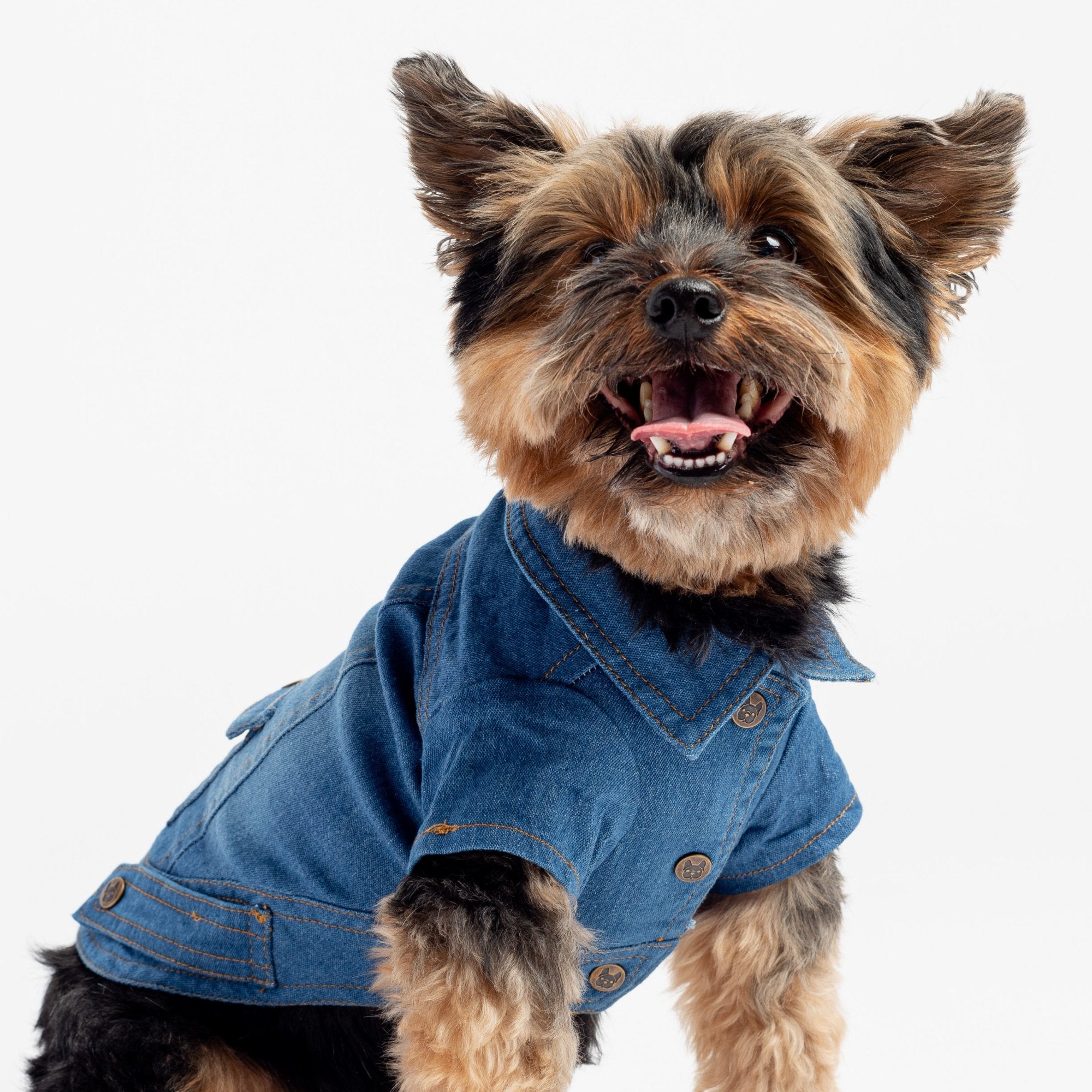Dusten Denim Dog Jacket - Silver Paw