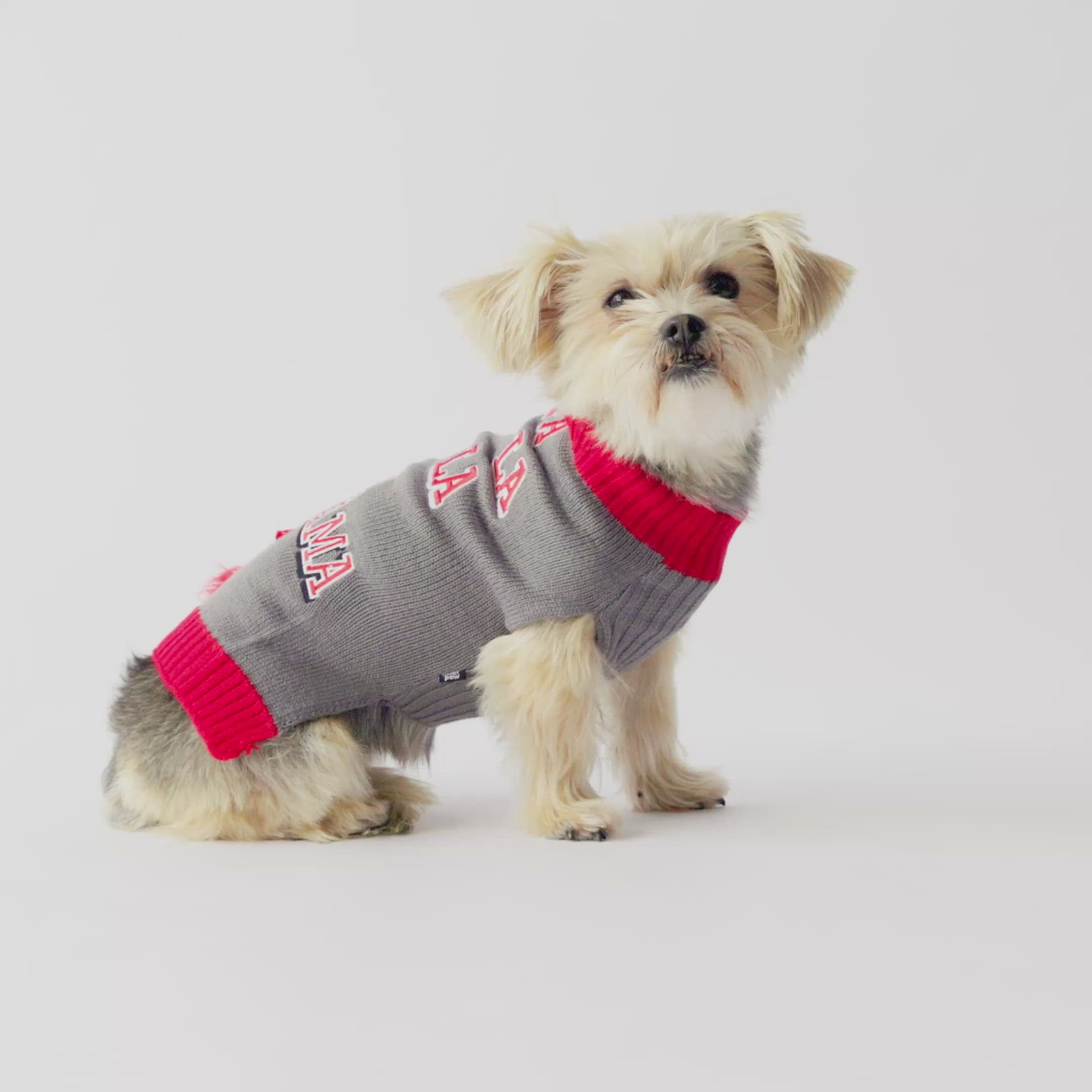 Petco sweaters on sale