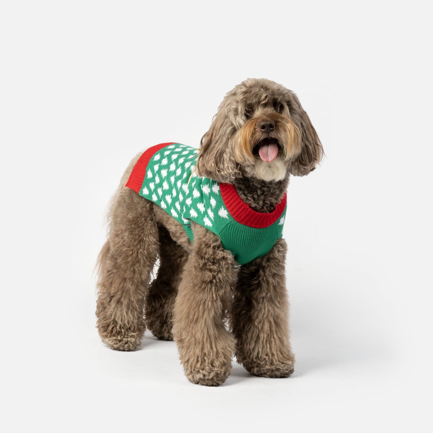 Gift Dog Sweater - Silver Paw