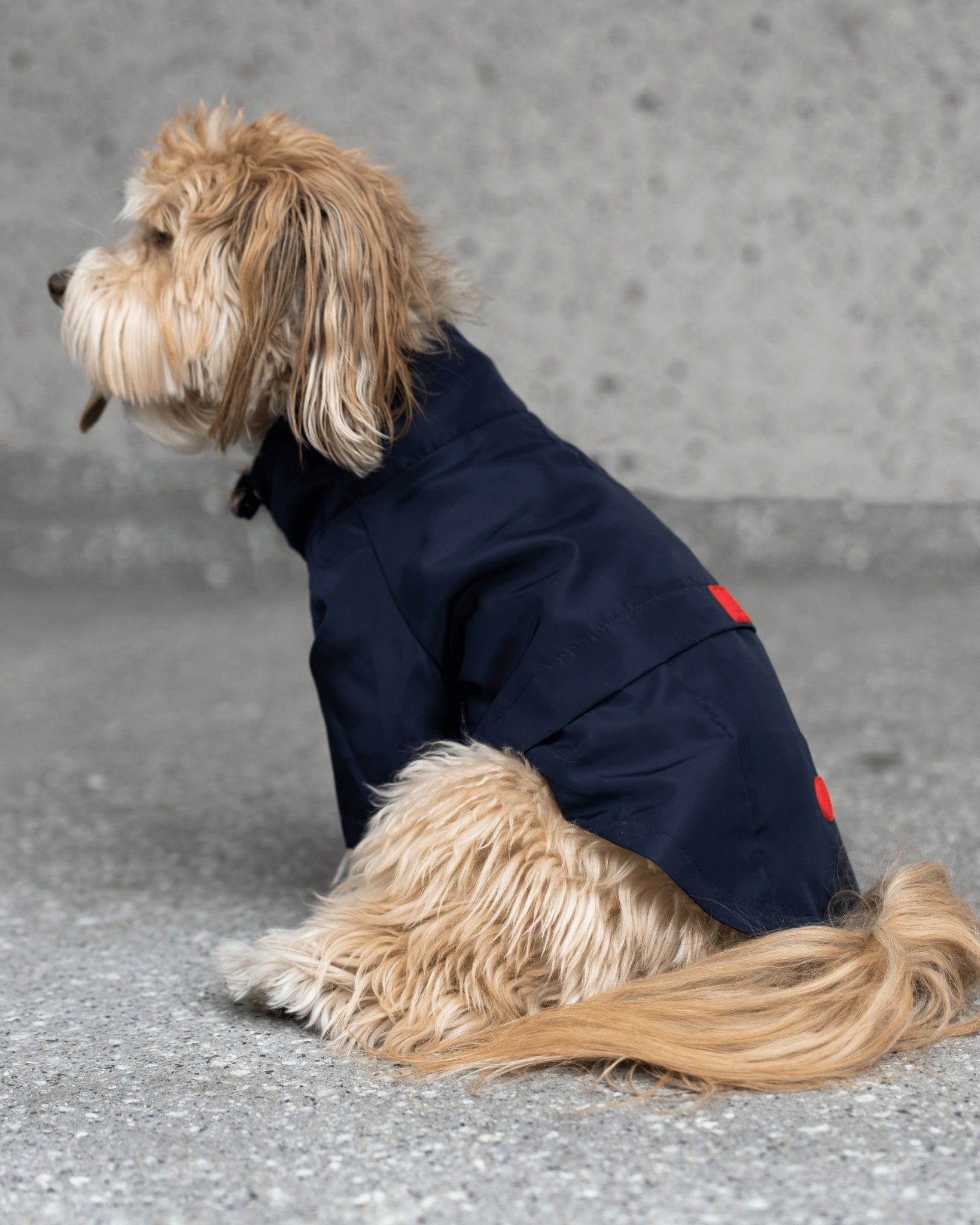 Jean-Paul Dog Raincoat - Silver Paw