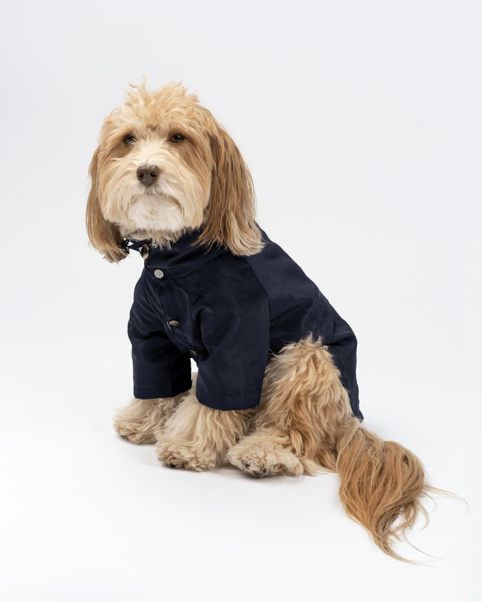 Jean-Paul Dog Raincoat - Silver Paw