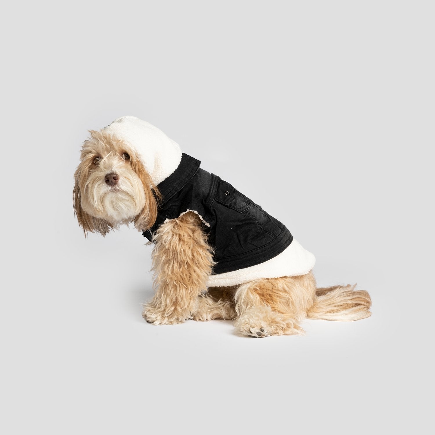 Justin - Denim Dog Jacket (Black) - Silver Paw