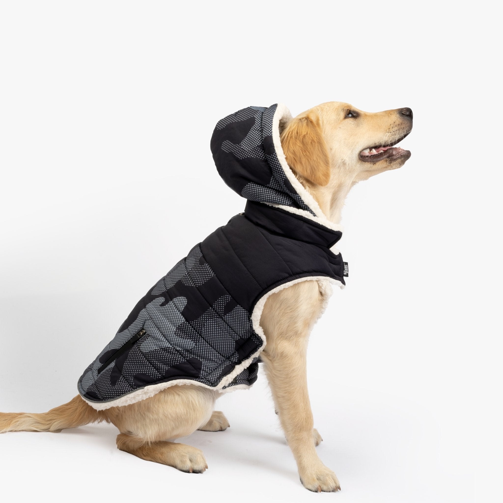 Marley Dog Jacket - Blue - Silver Paw