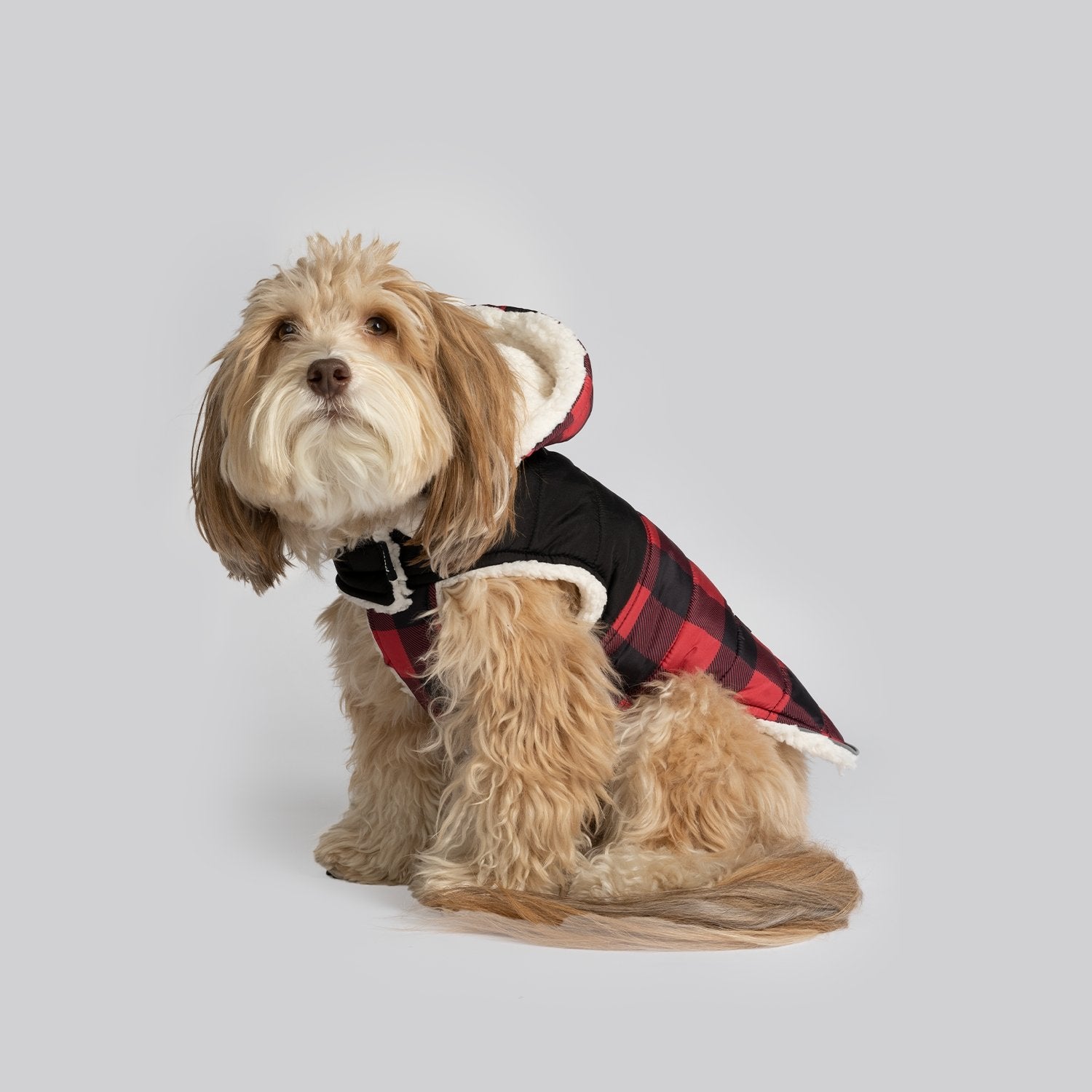 Buffalo plaid dog jacket sale