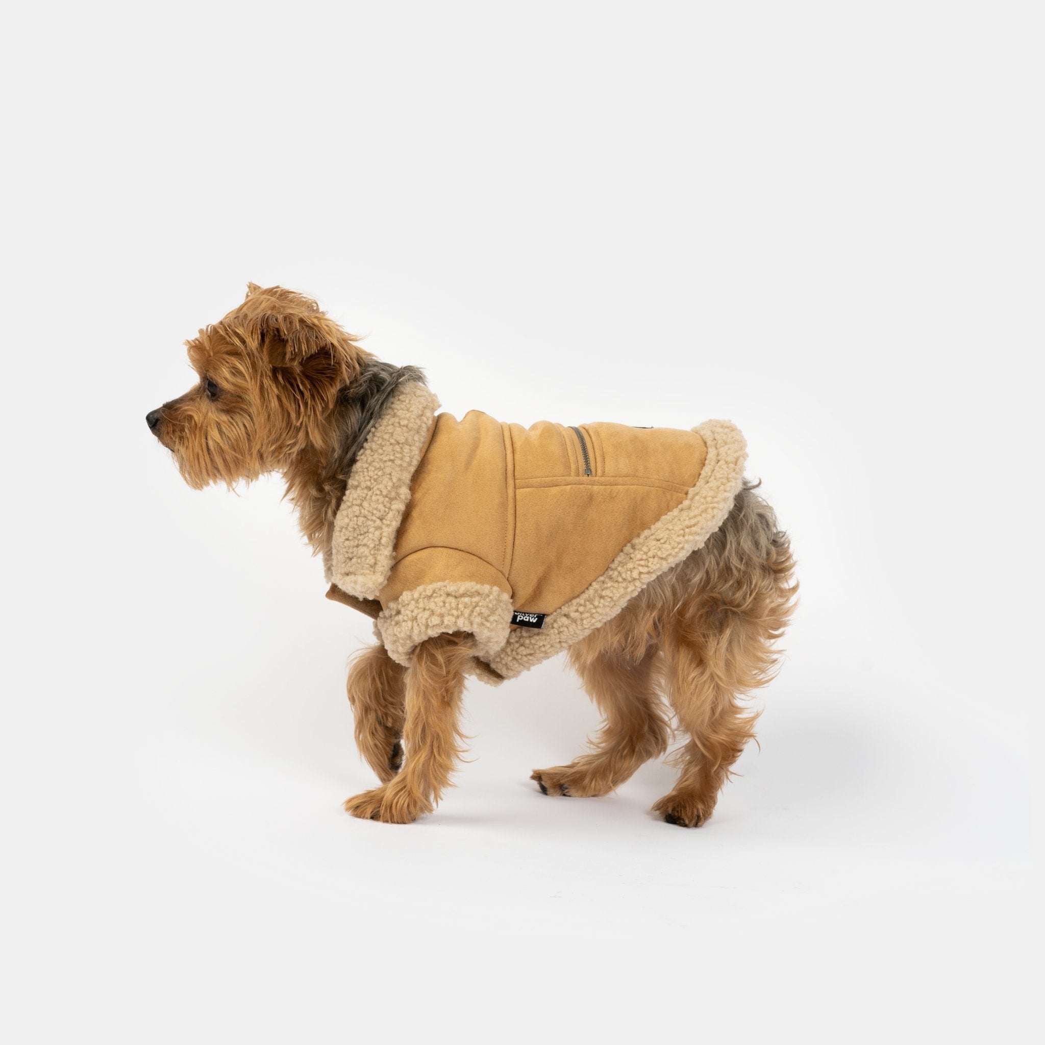 Millie Dog Jacket - Silver Paw