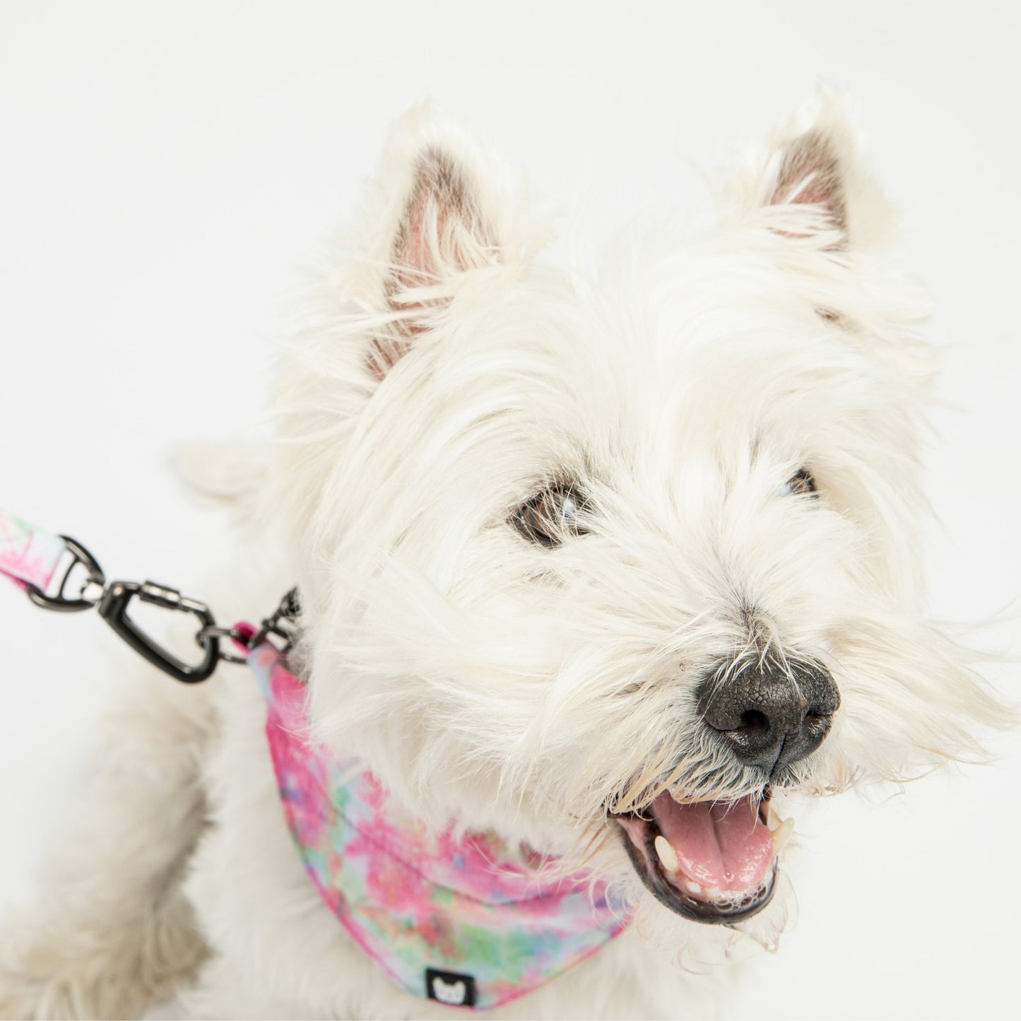 🎀🐾 Pink Tie-Dye Poplin Dog Bandana Collar – Adjustable & Stylish Pet Accessory