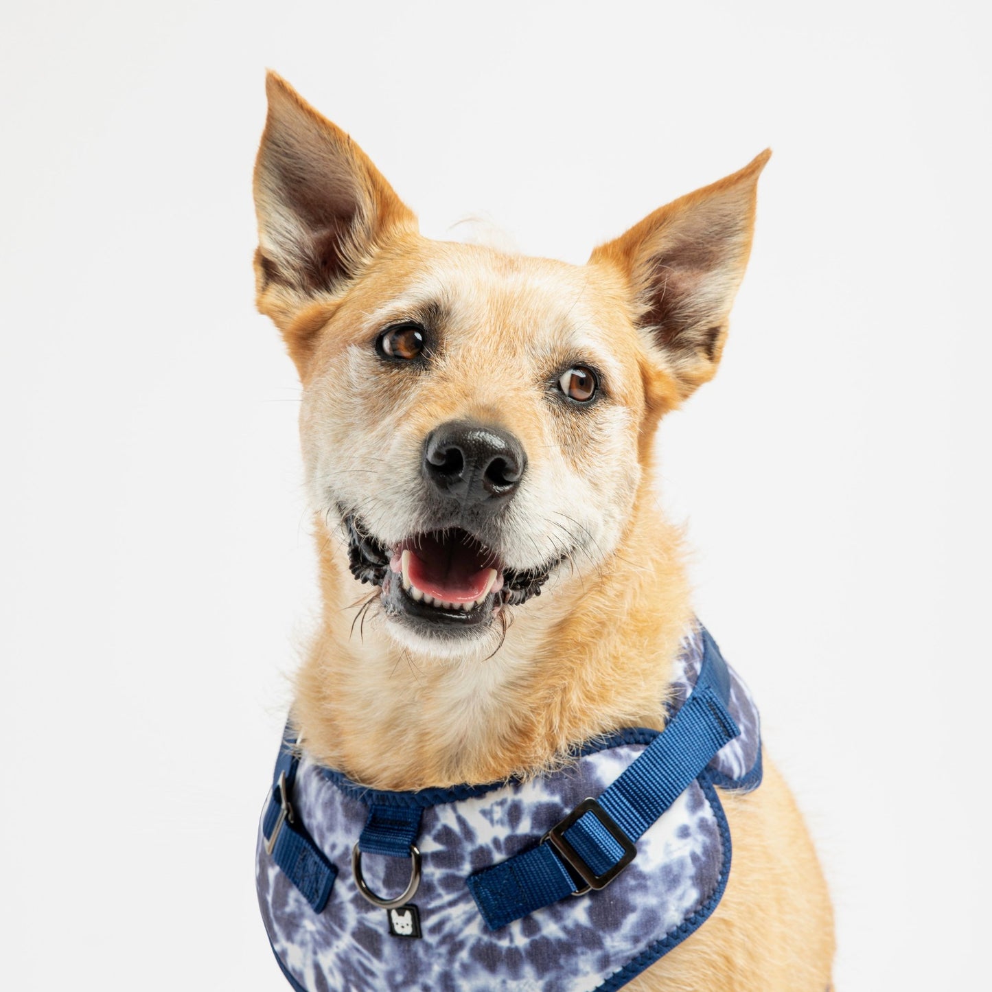 🎨🐶 Blue Tie Dye Poplin Dog Harness – Adjustable, Stylish & Comfortable