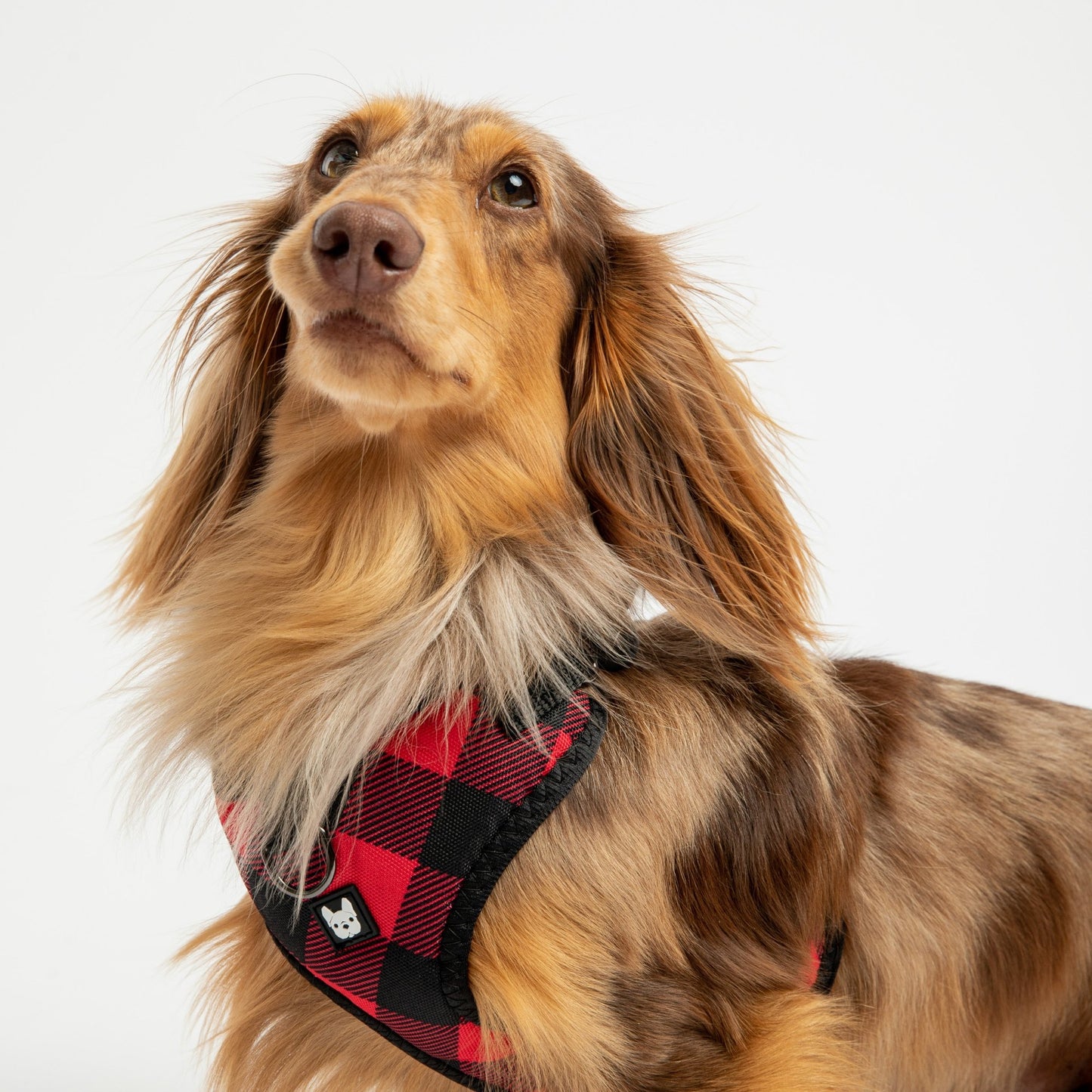 ❤️🐶 Red Plaid Poplin Dog Harness – Adjustable, Secure & Stylish