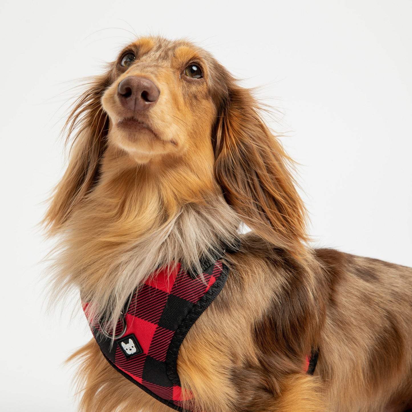 Poplin Dog Harness - Red Plaid