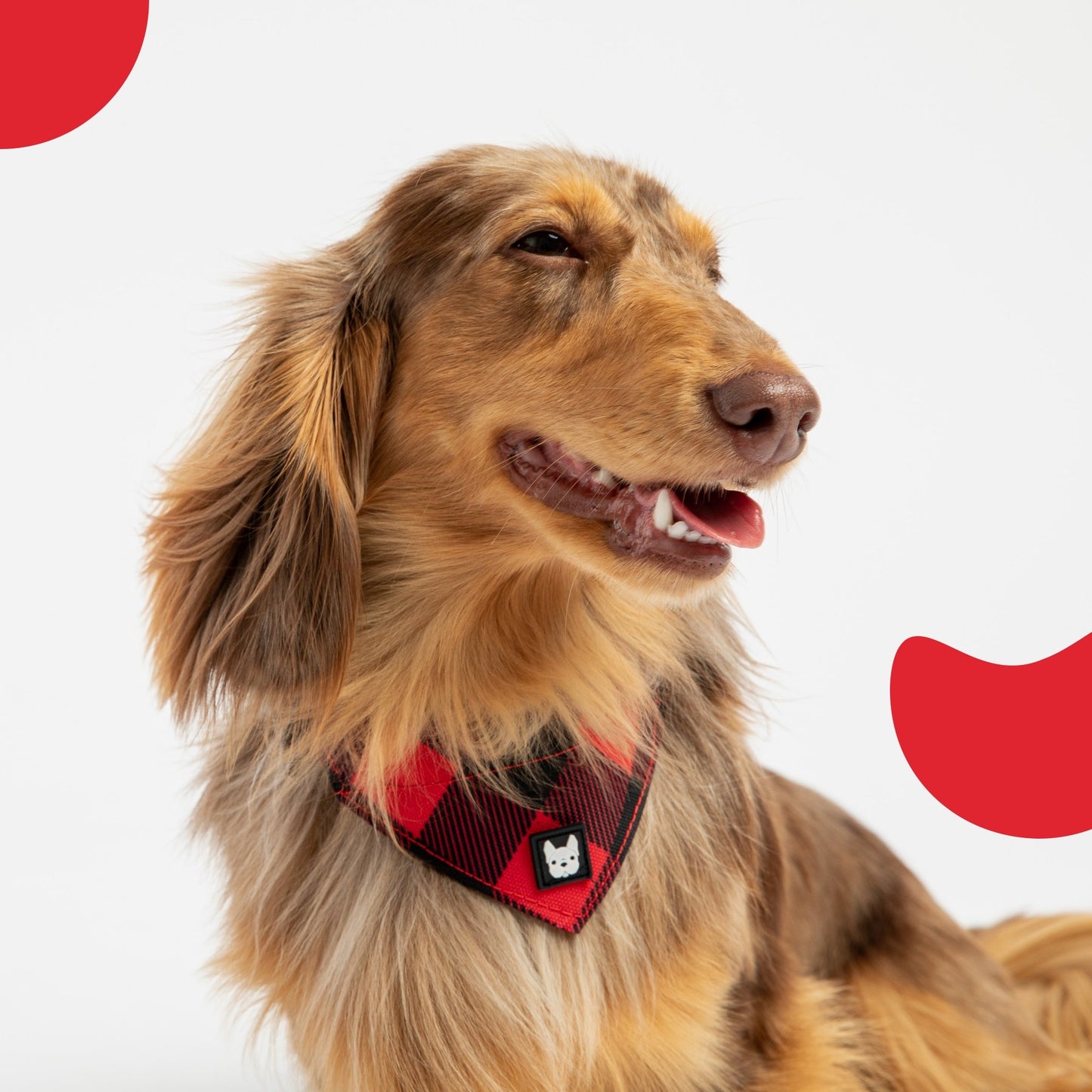 ❤️🐶 Red Plaid Poplin Dog Harness – Adjustable, Secure & Stylish