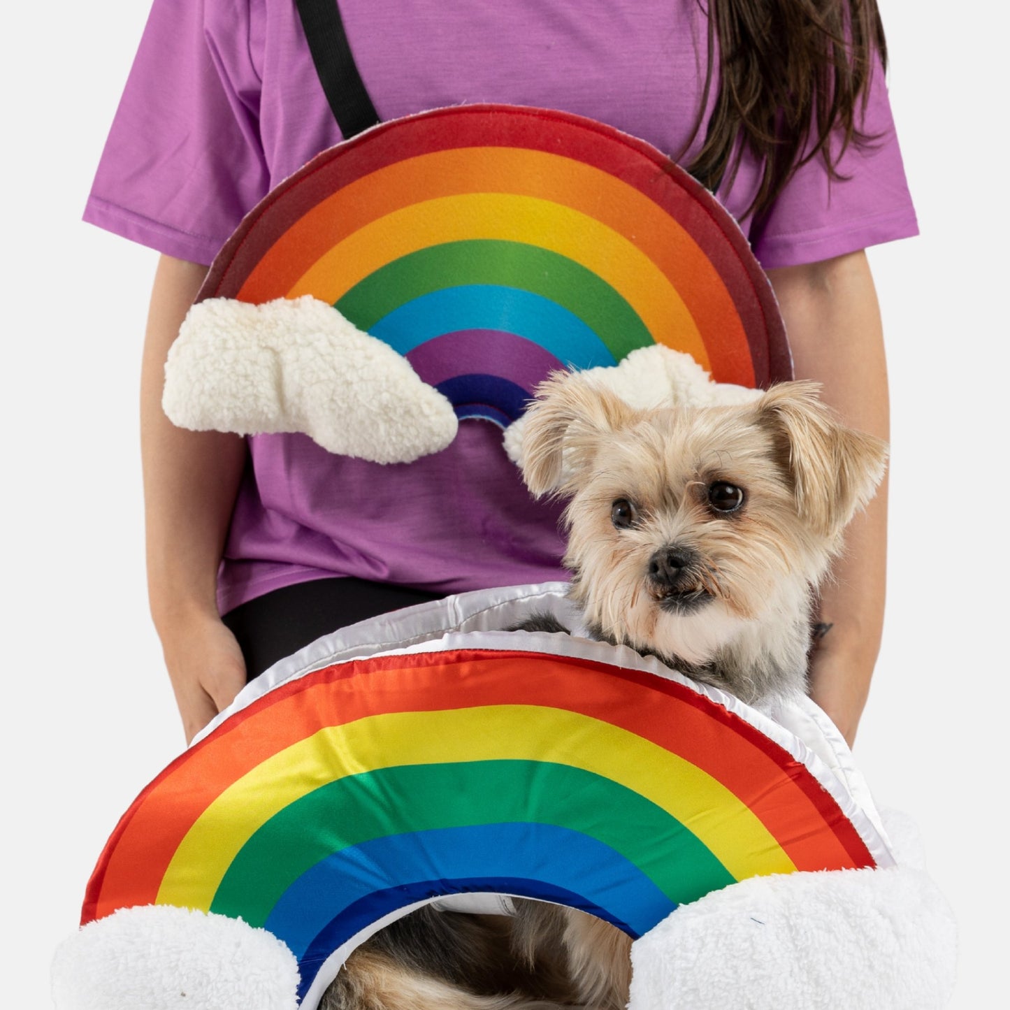 🌈☁️ Rainbow Dog Costume – Colorful & Fun Matching Pet Outfit