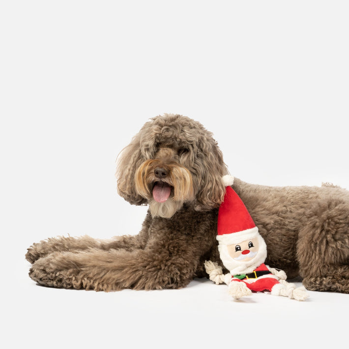 Santa Plush Dog Toy With Rope